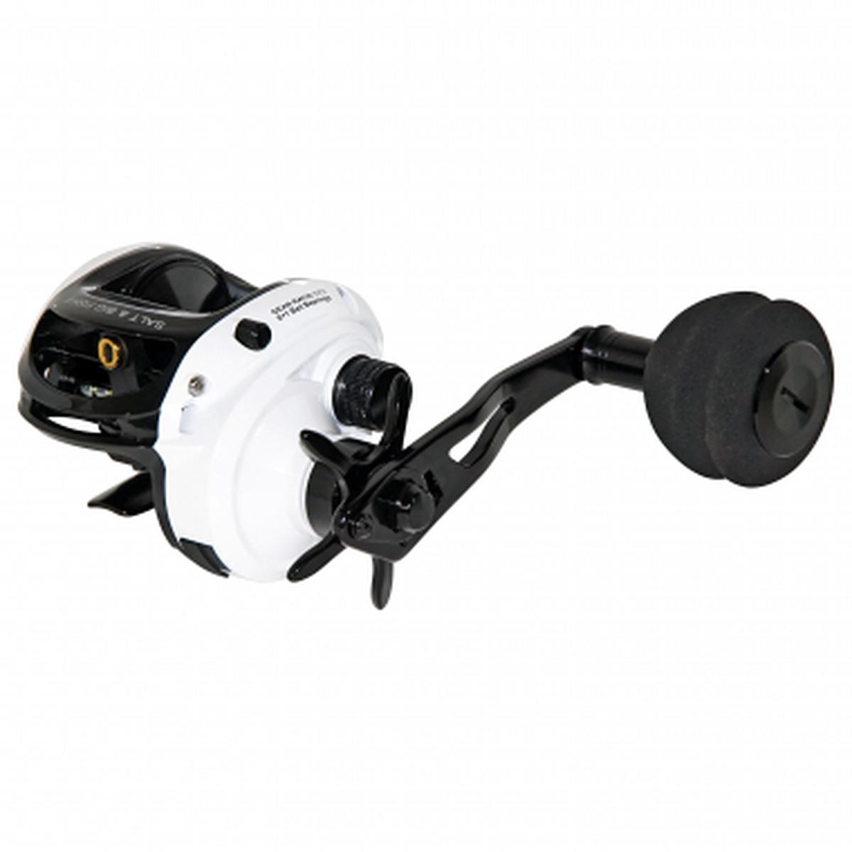 Baitcast Reel Salt & Big Fish II