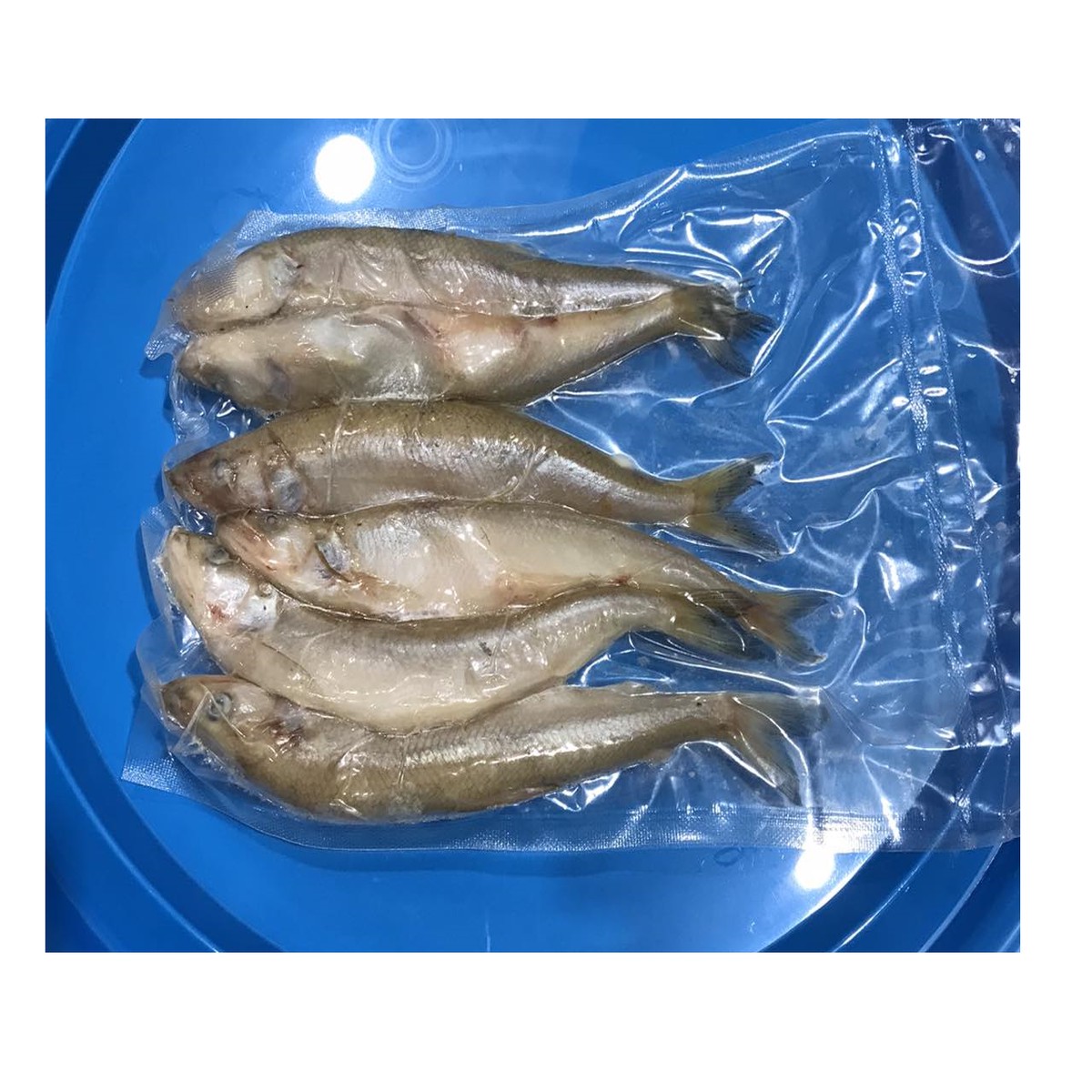 DeadBait Frozen Smelt