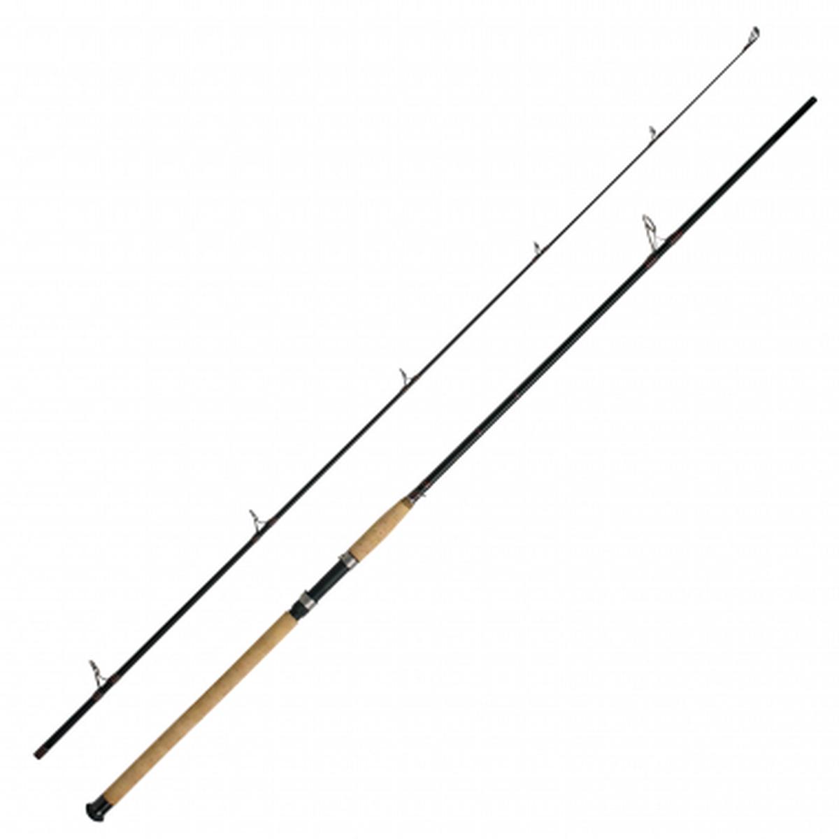 Sea Rod Charisma Power II (50-190 g)