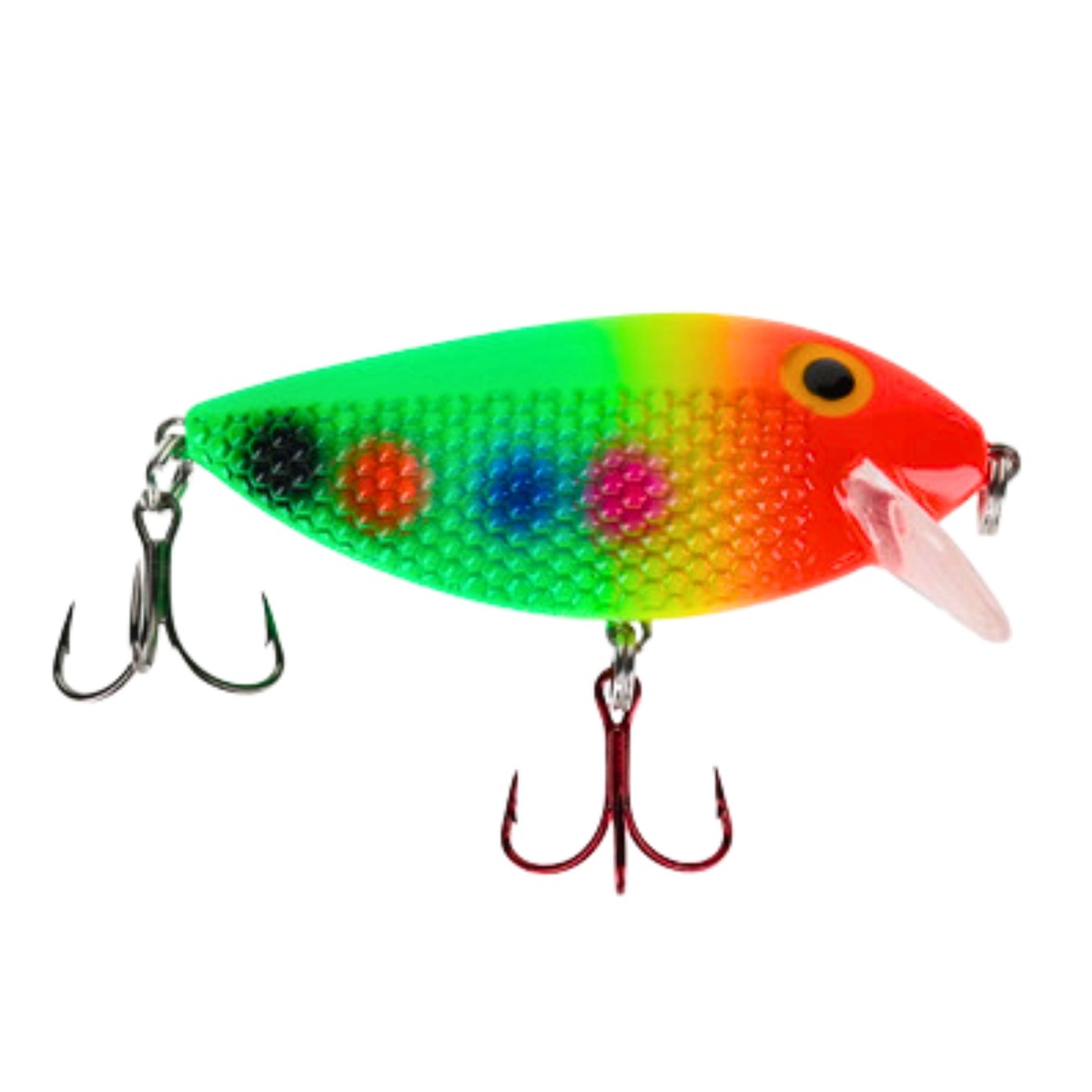 Killer Fish Shallow Antifreeze Clown UV