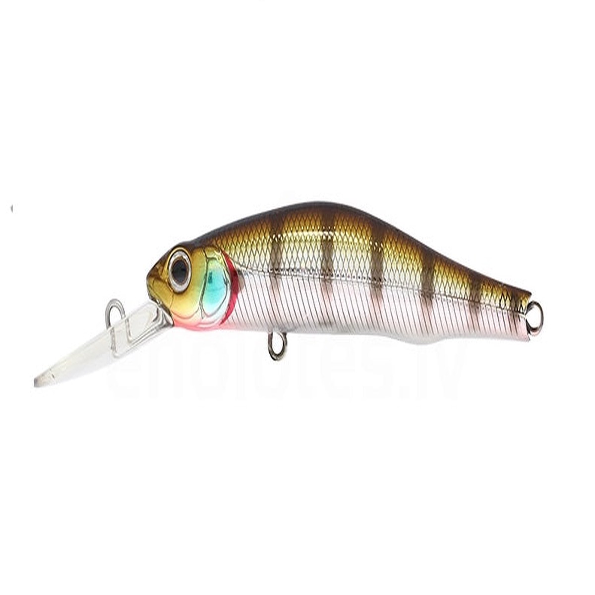 Zip Baits Orbit 80SP DR 509M