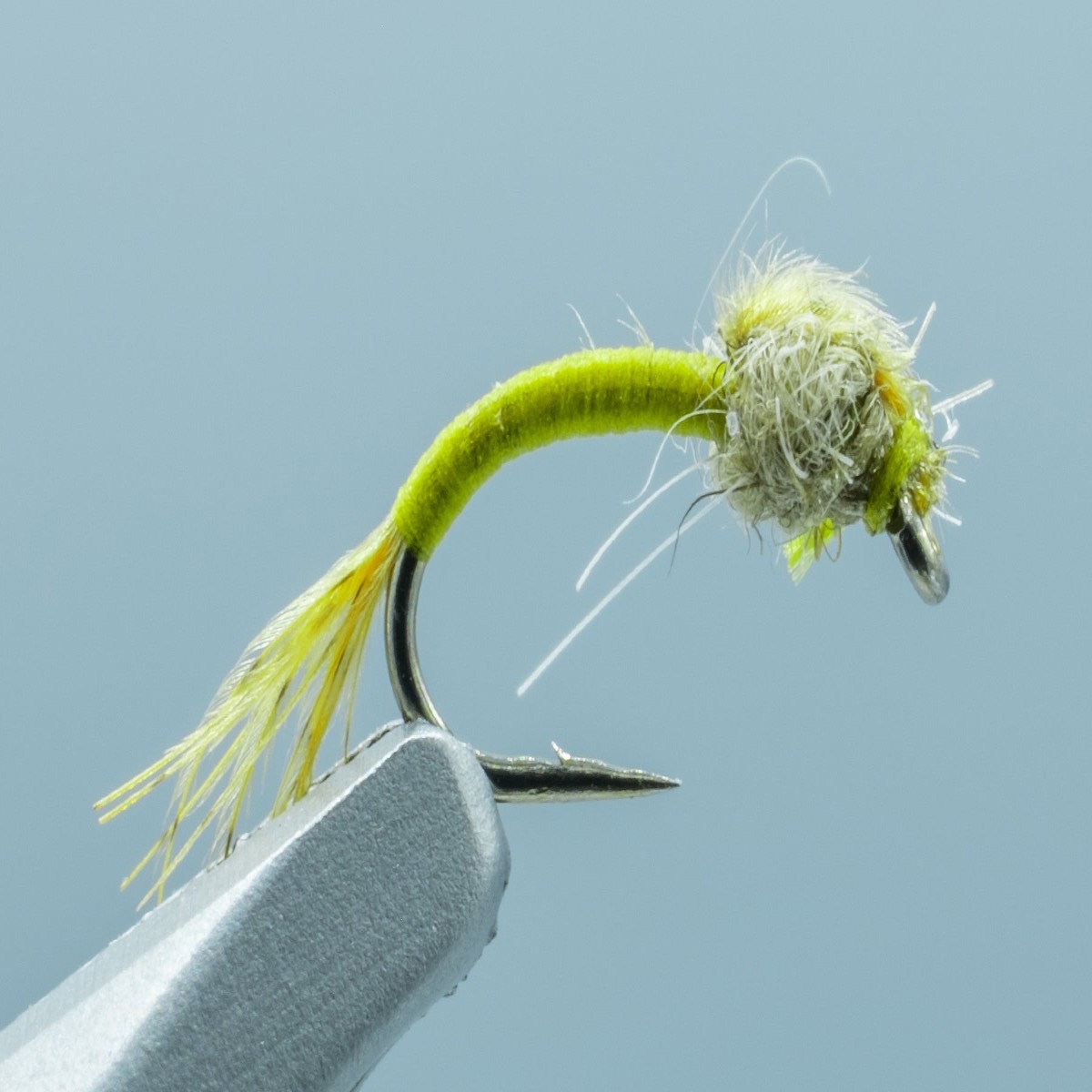 WD 40 Olive #18