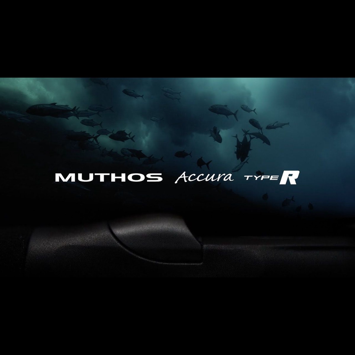 ZENAQ Muthos Accura "Type R" Surf Rods
