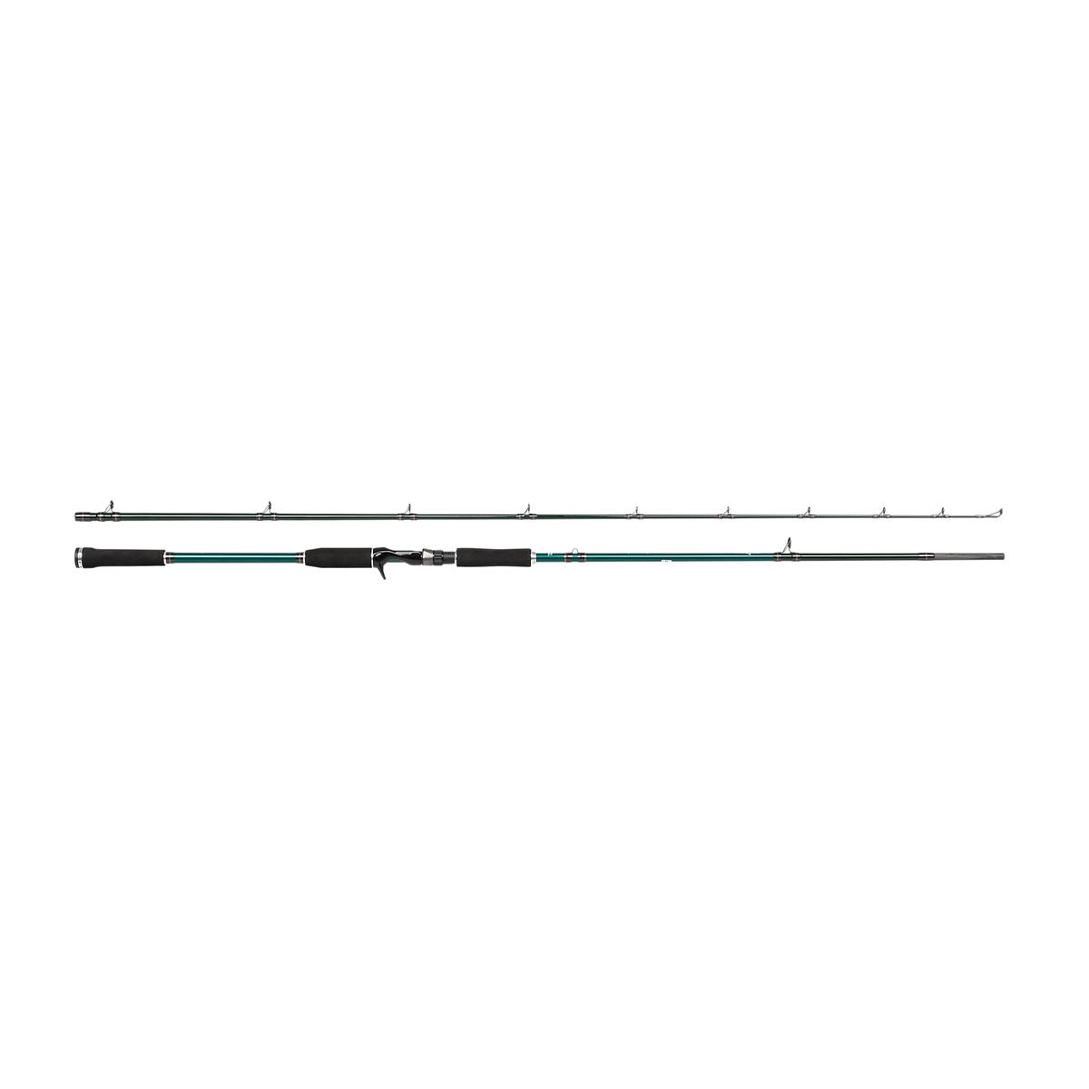 Abu Garcia Beast X Casting Rod - 254cm 60-220g