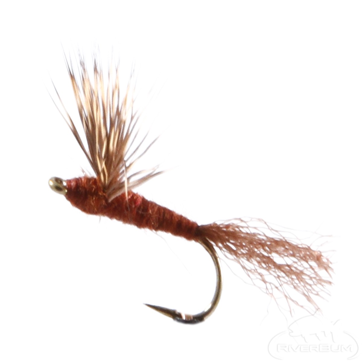 Mahogany, Dun, Sparkle