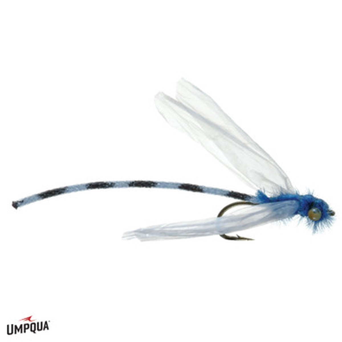 ADULT DAMSEL