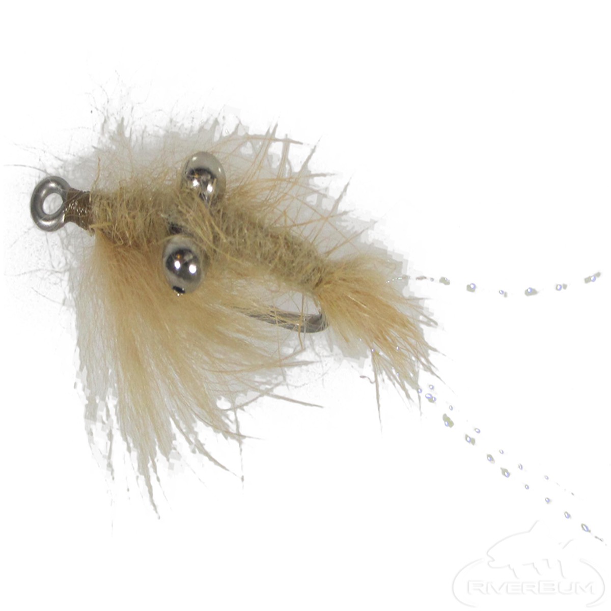 Angora Shrimp