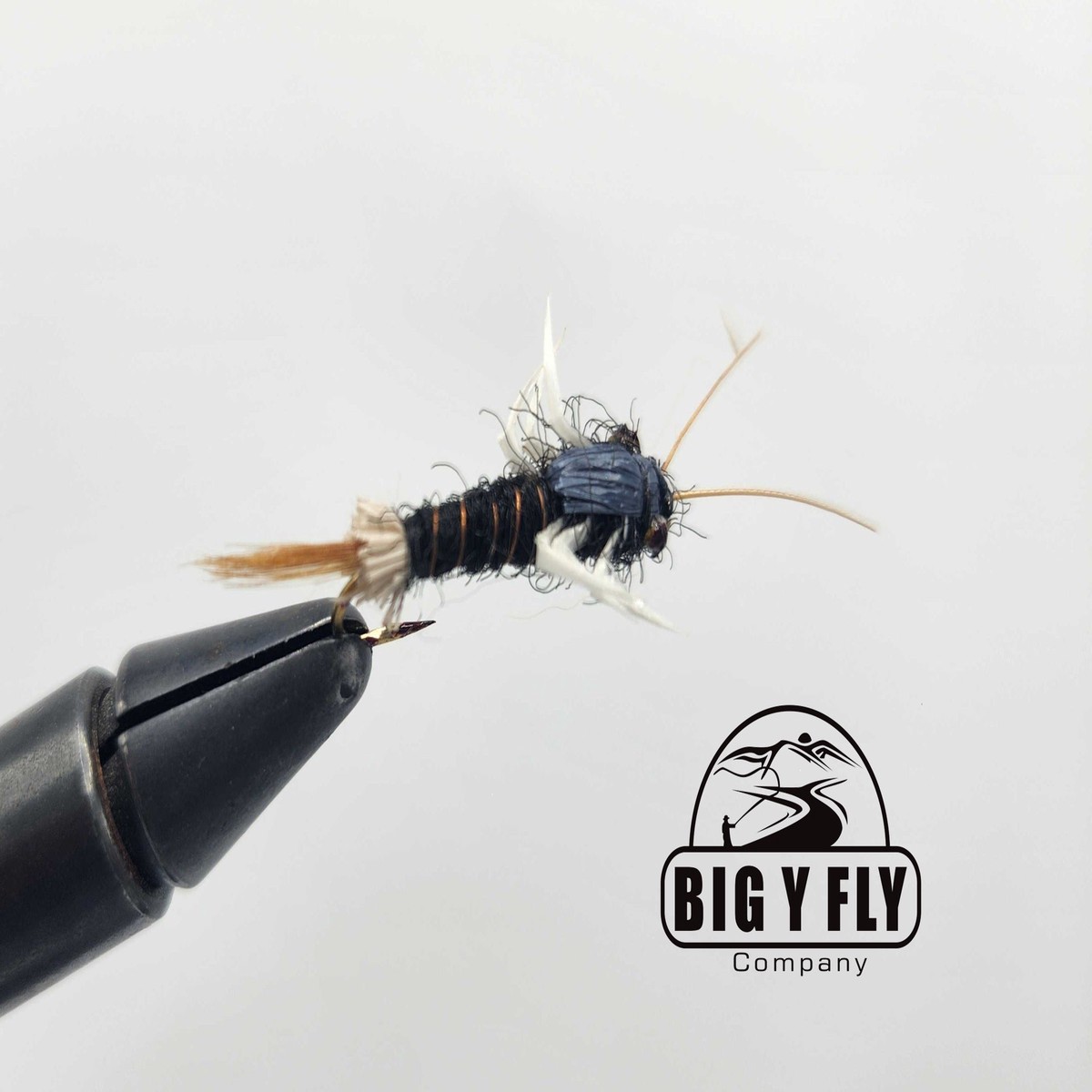 Atepe Bug