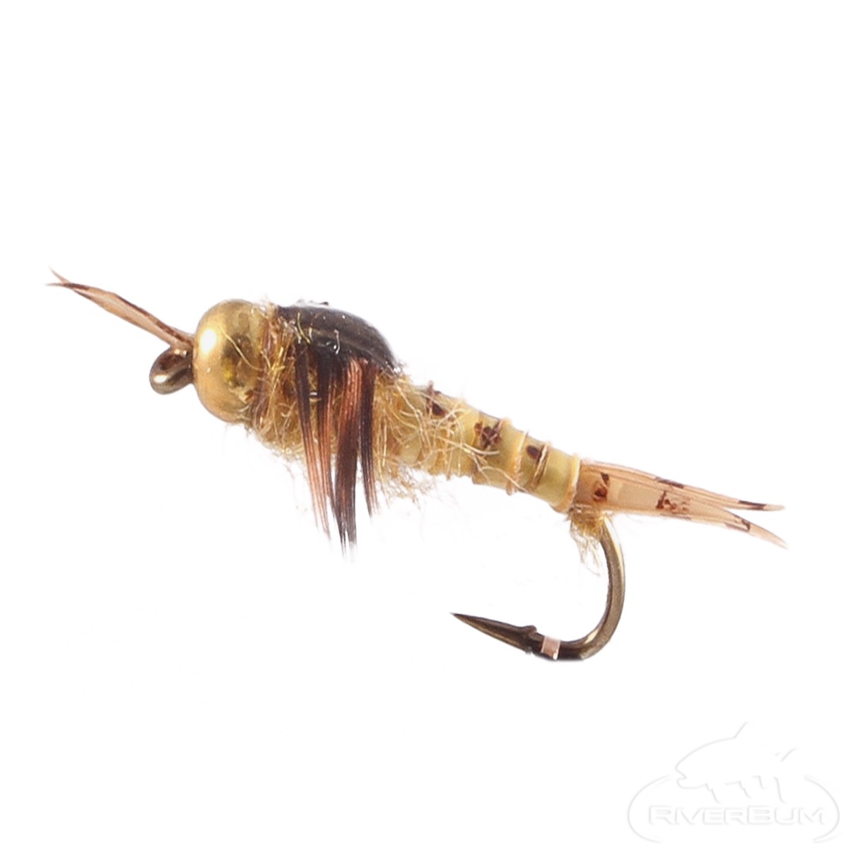 Biot Epoxy Stonefly Nymph, Bead Head, Golden