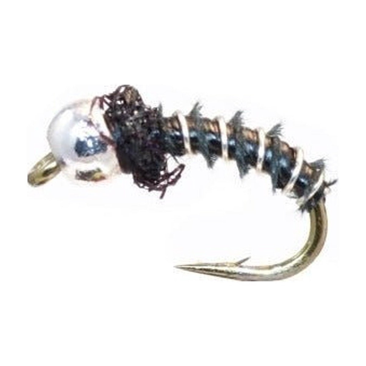 Biot Pupa - Black/Silver