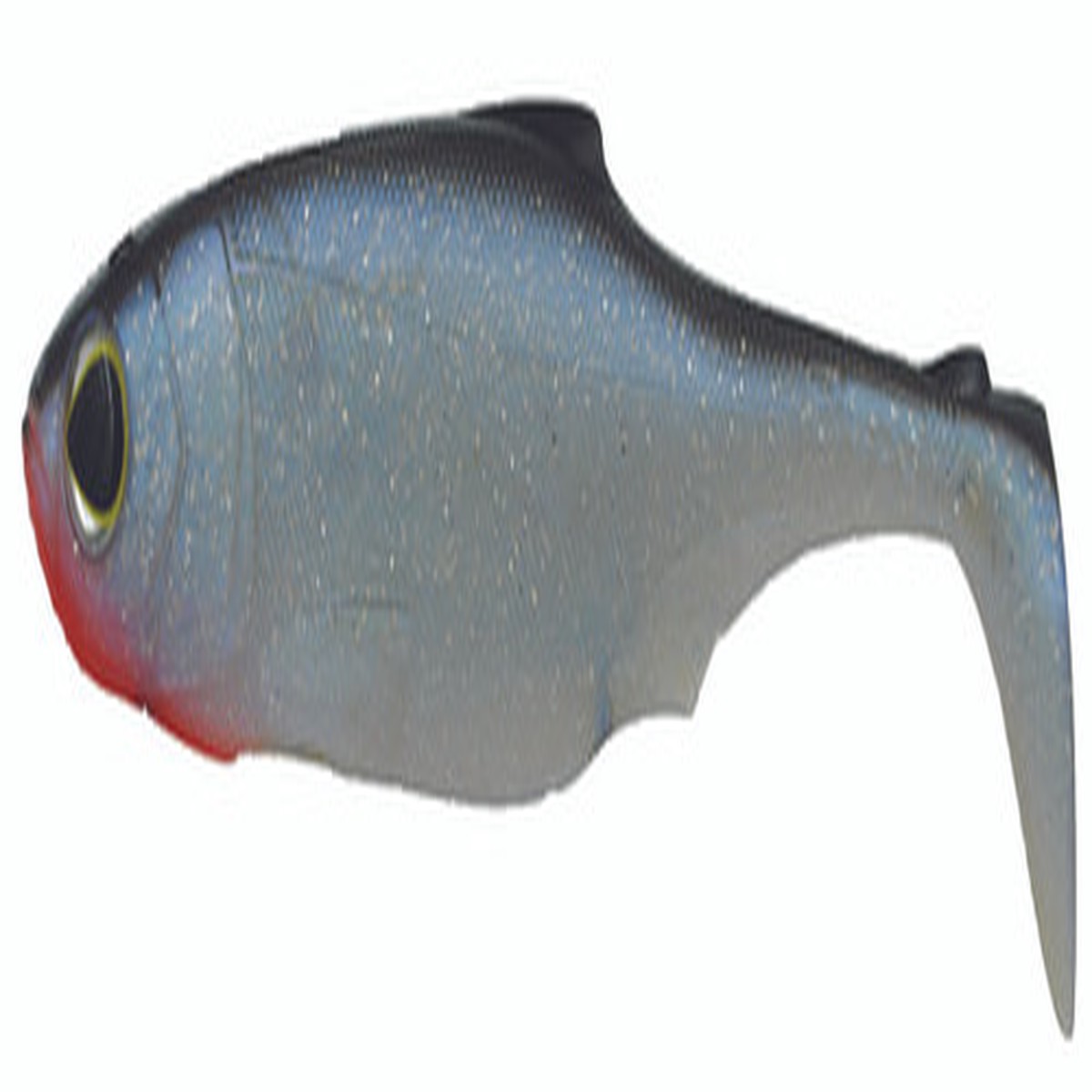 BIWAA SUBMISSION 8 - 70G - 200MM X 2 - 18 (ROACH)