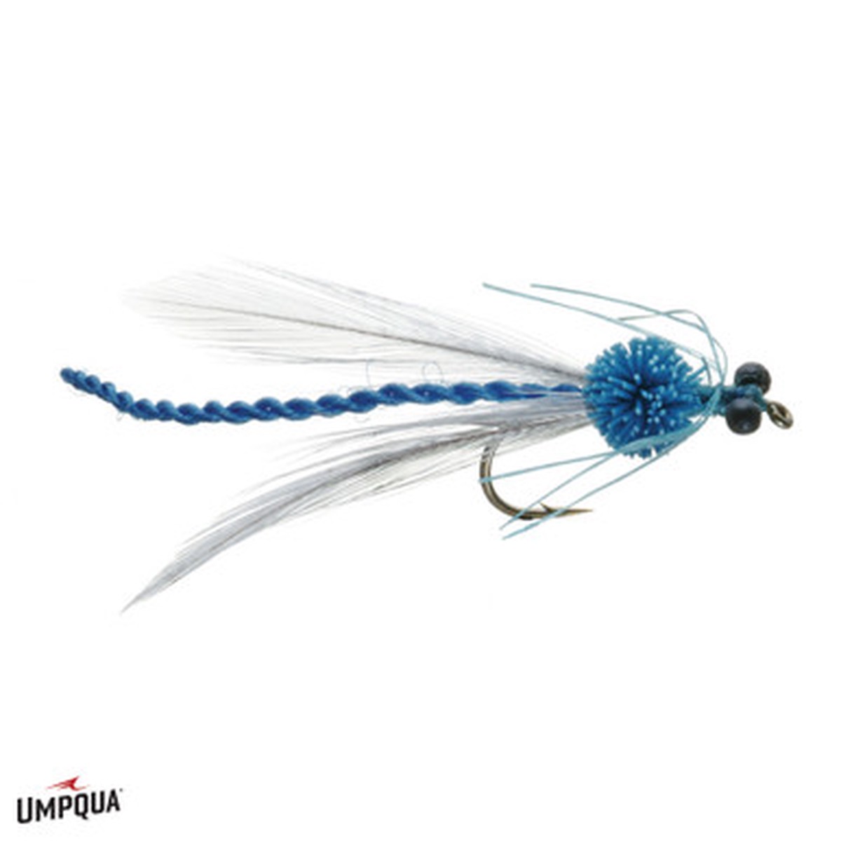 ADULT DAMSEL BURK'S