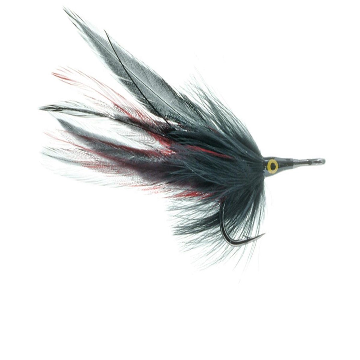 Black Death Fly