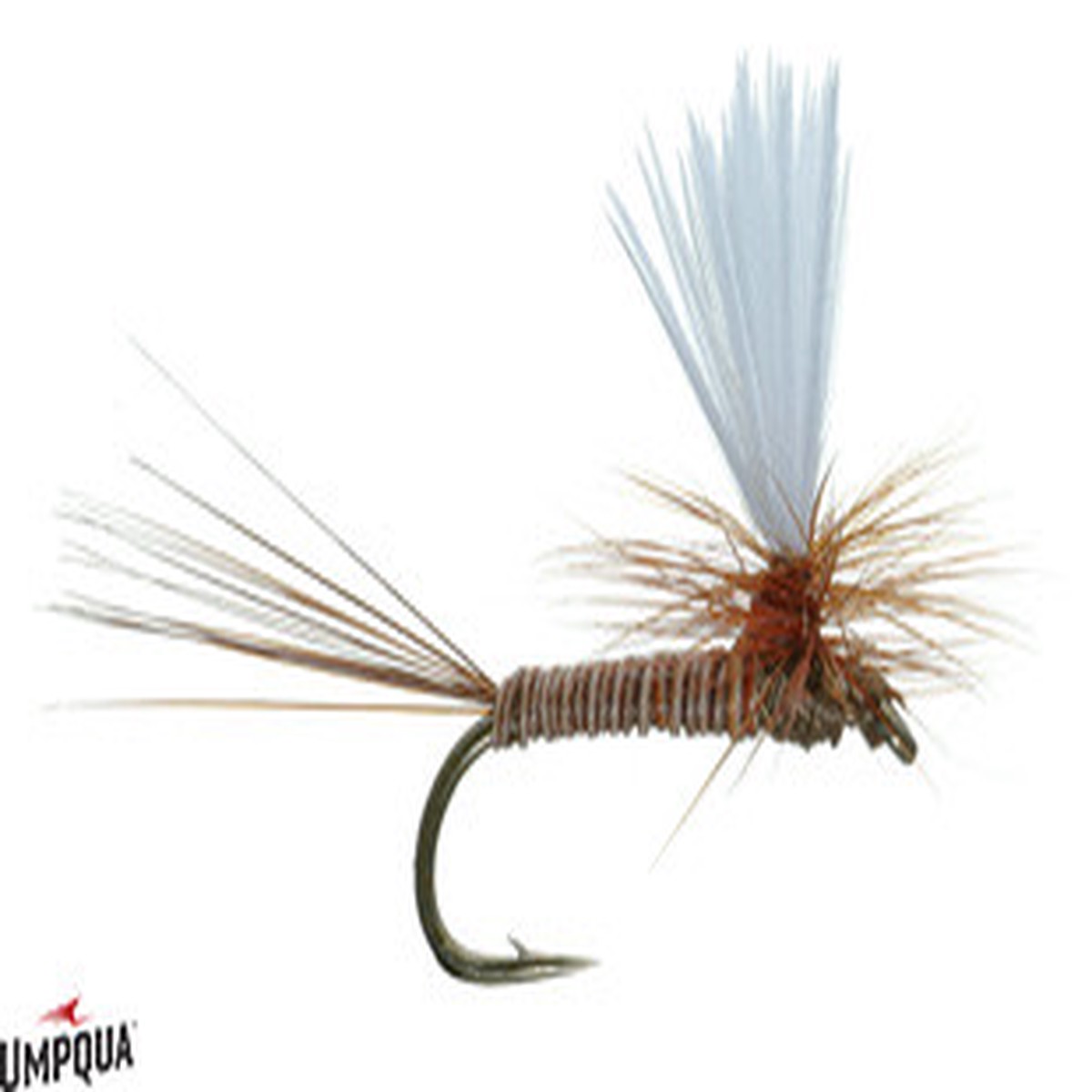 A.K.'S PARACHUTE