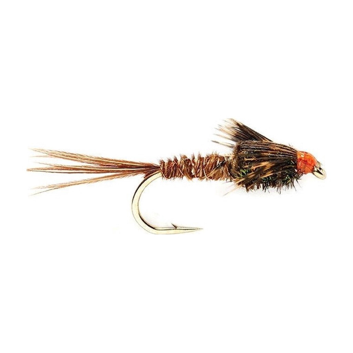American Pheasant Tail