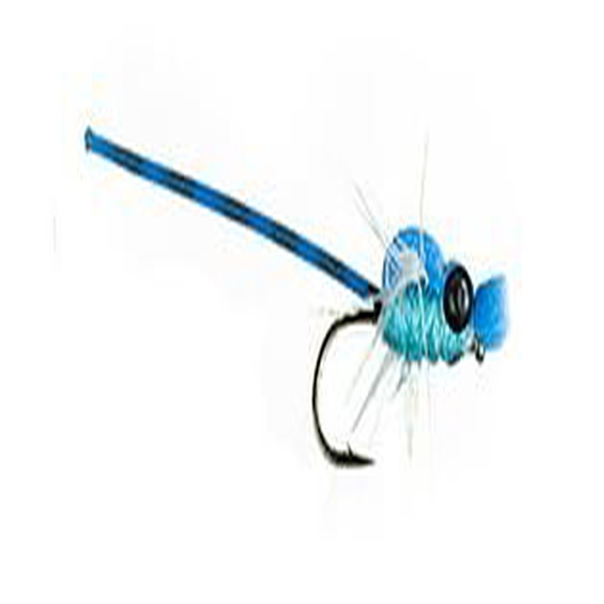 Adult Damsel - Blue