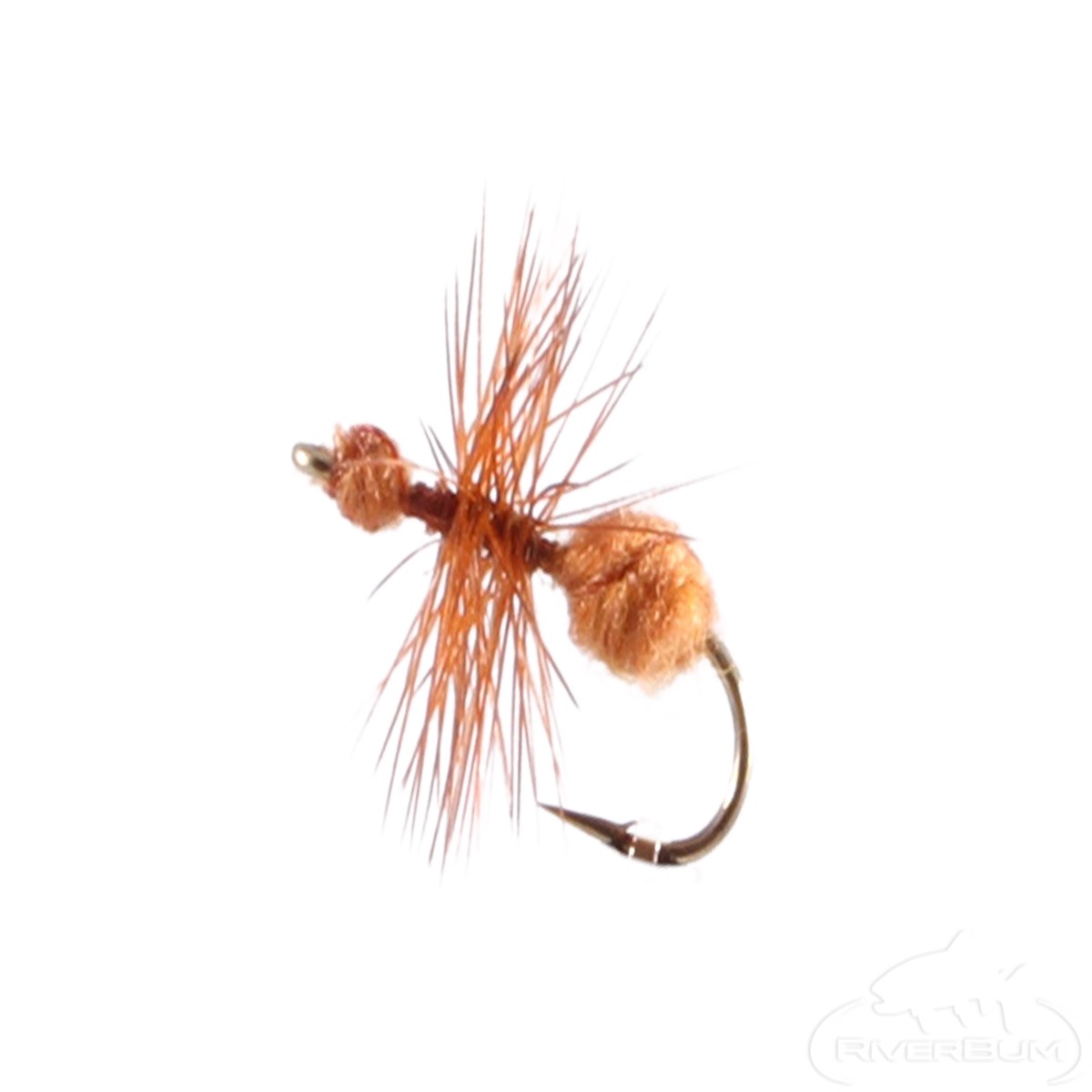 Ant, Fur, Cinnamon