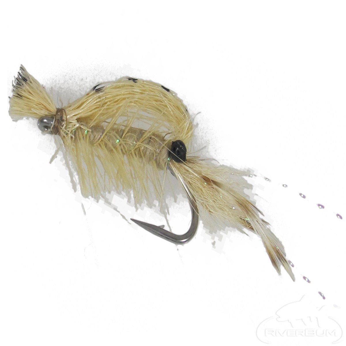 Banded Shrimp Tan