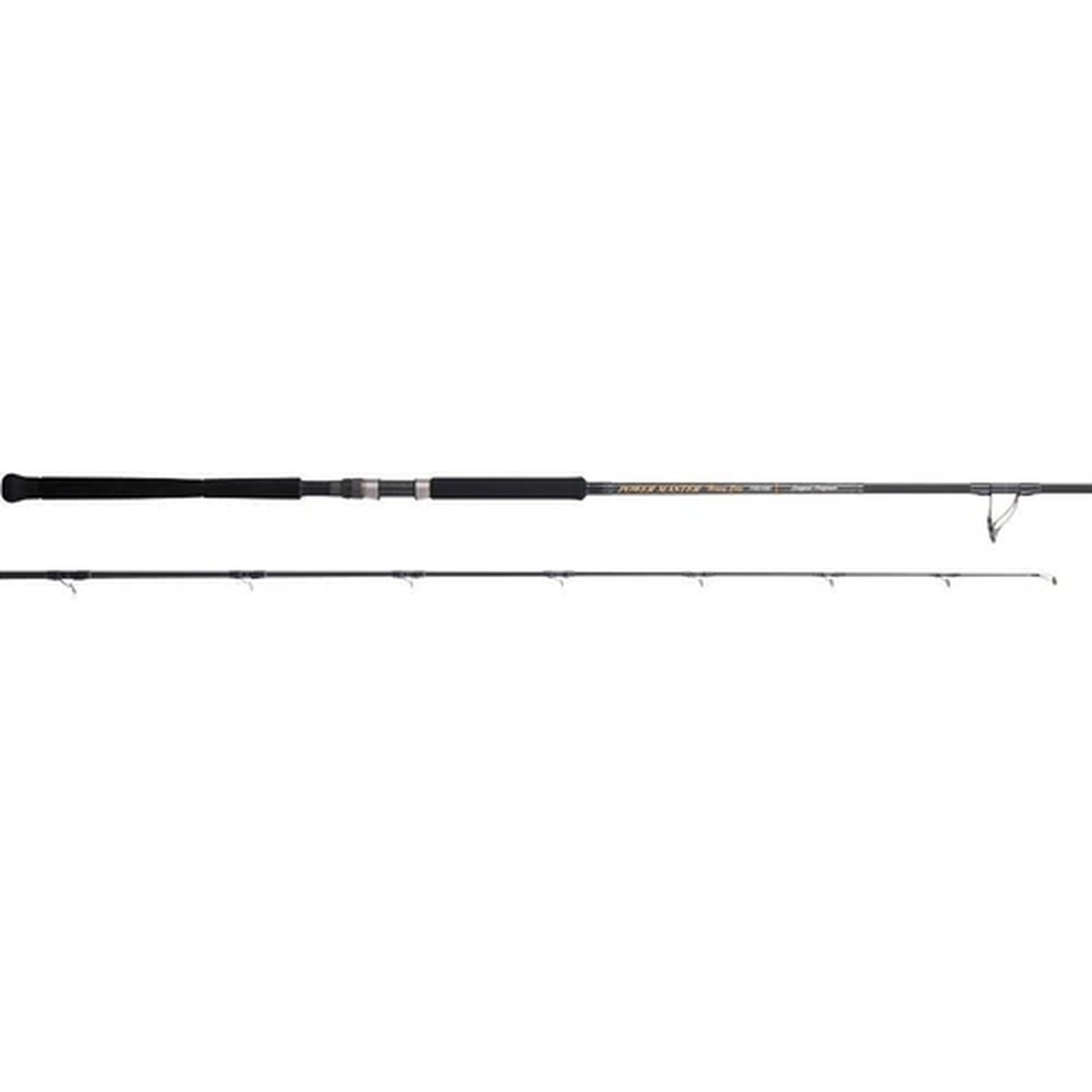 Tenryu POWER MASTER Heavy Core PMH100H Spinning Rod