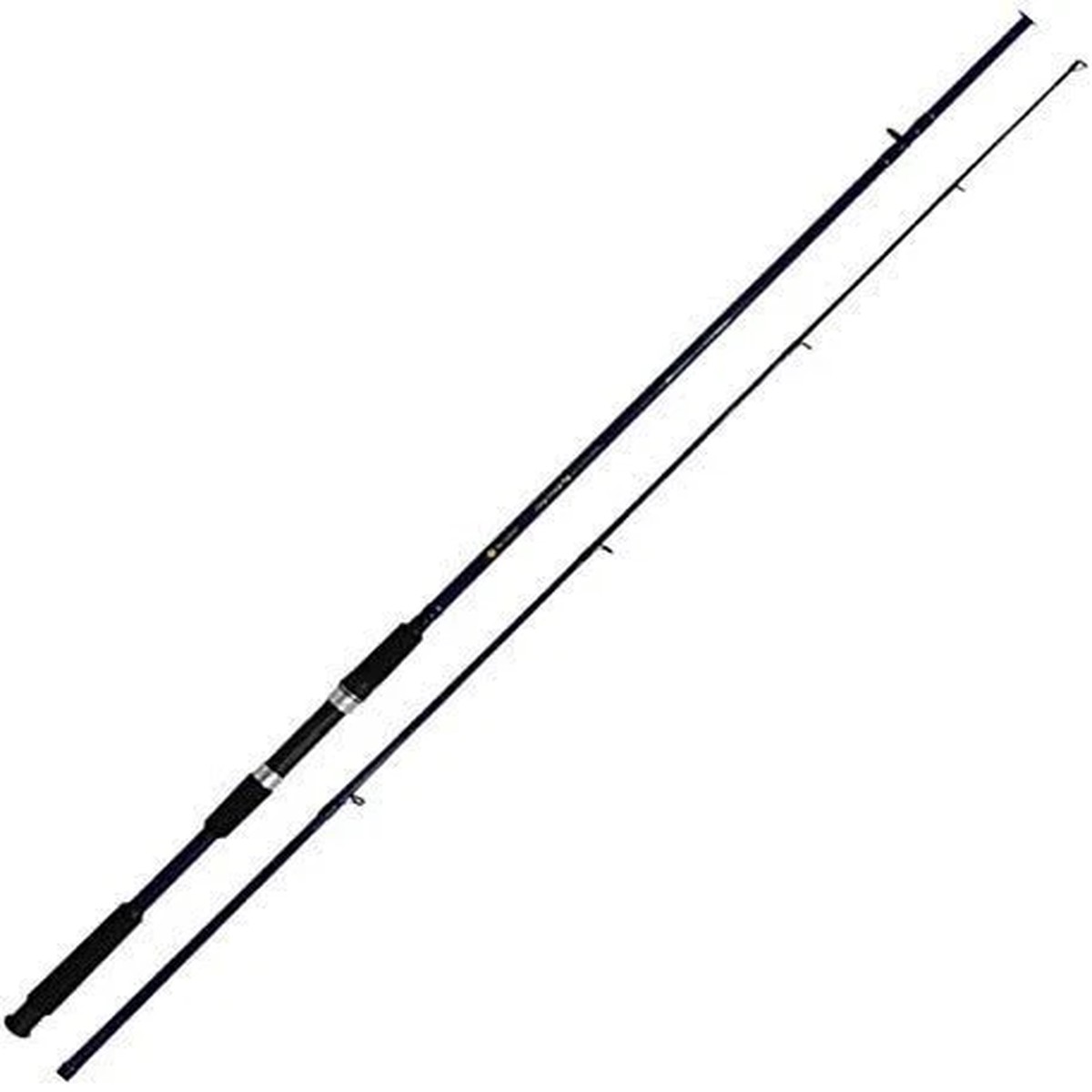 Big Silver 8ft Spinning Sea Bass Rod for Beginners - Fishingequipment