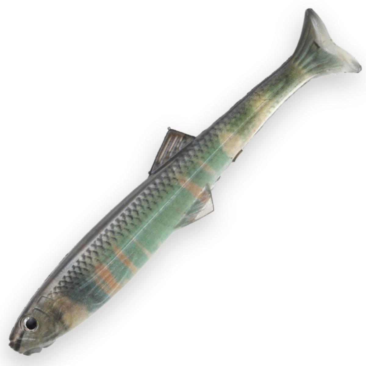 HUDDLE SWIMMER 4.0" [Brand New] - #S-525 3DR OIKAWA