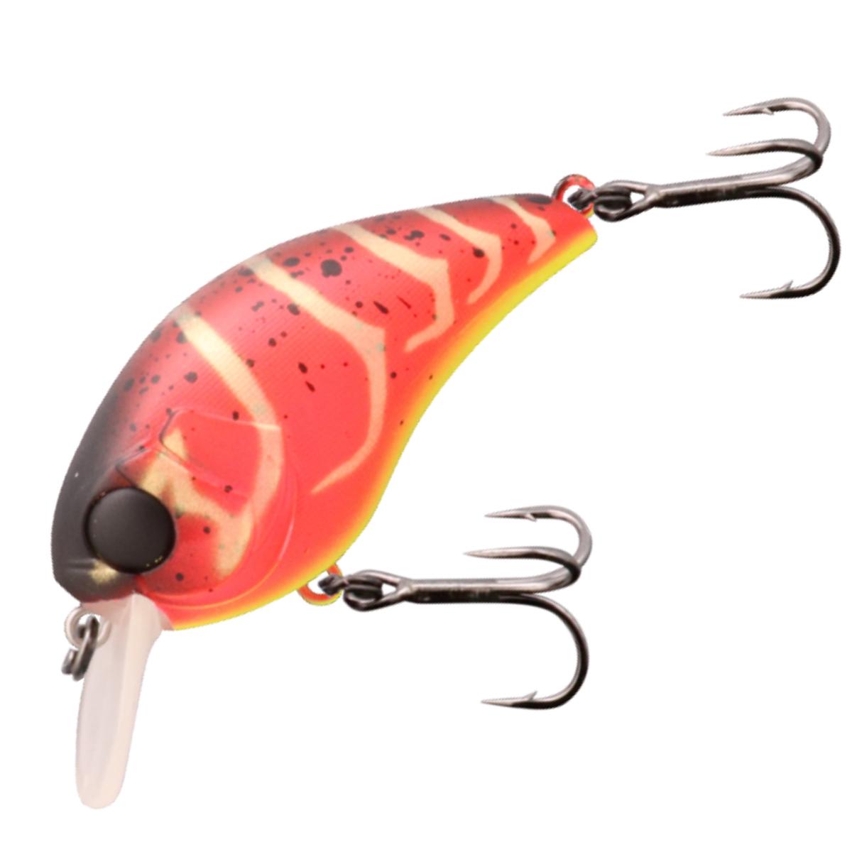 MUSHBOB 50SR [Brand New] - SPICE RED CRAW