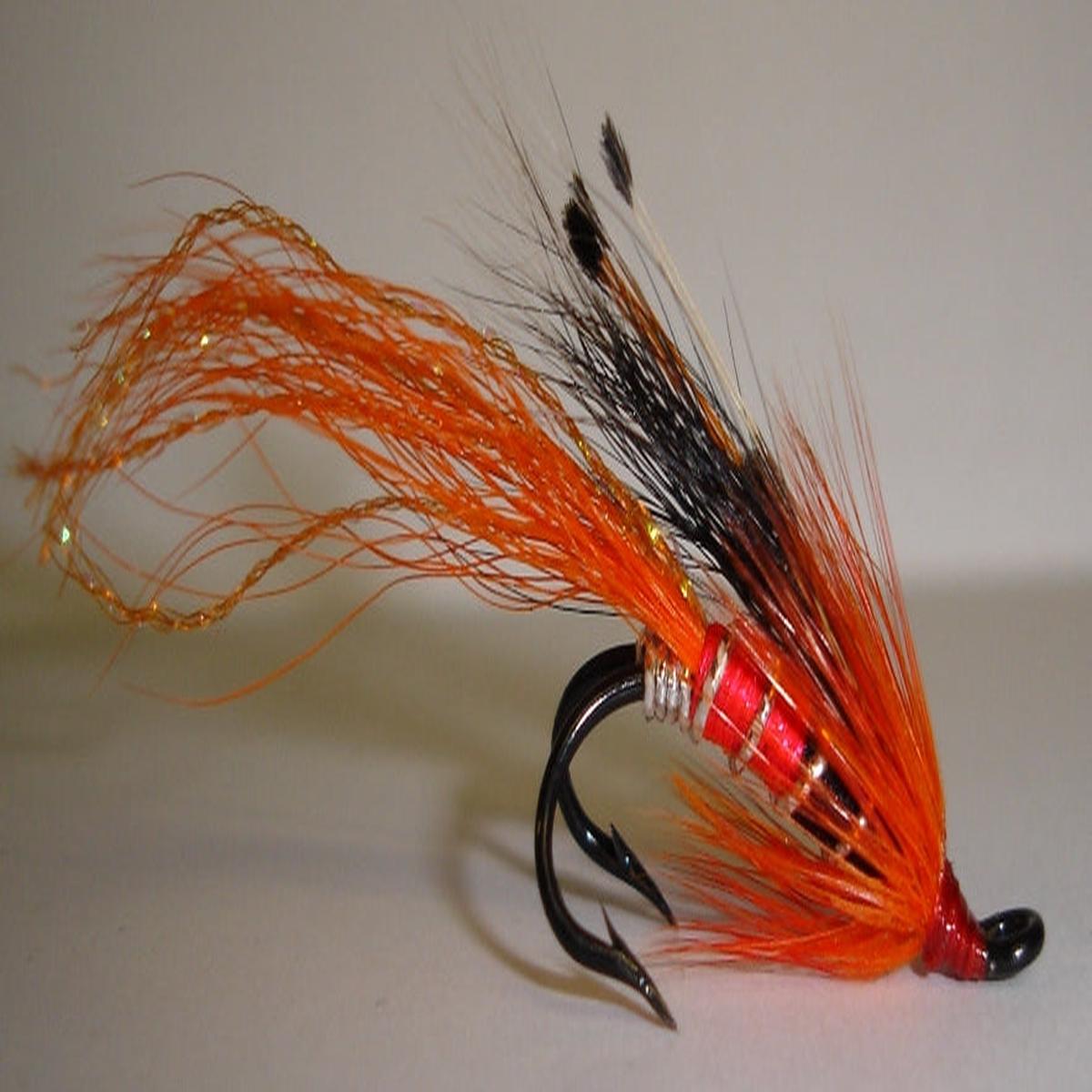 Twinkle Allys Shrimp