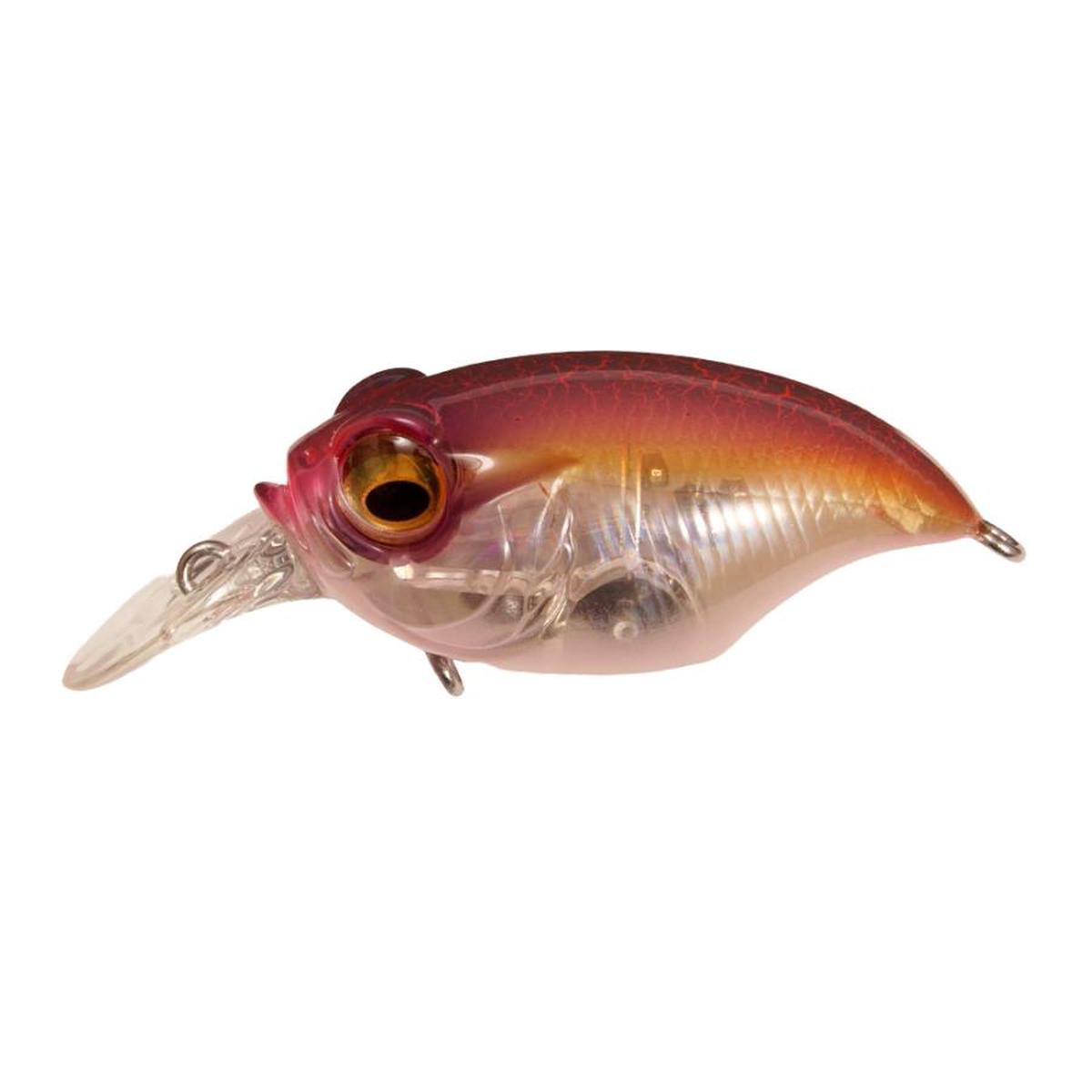 Megabass SR-X  (BFS)