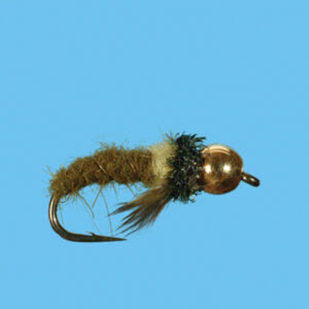 Tungsten Caddis Larva