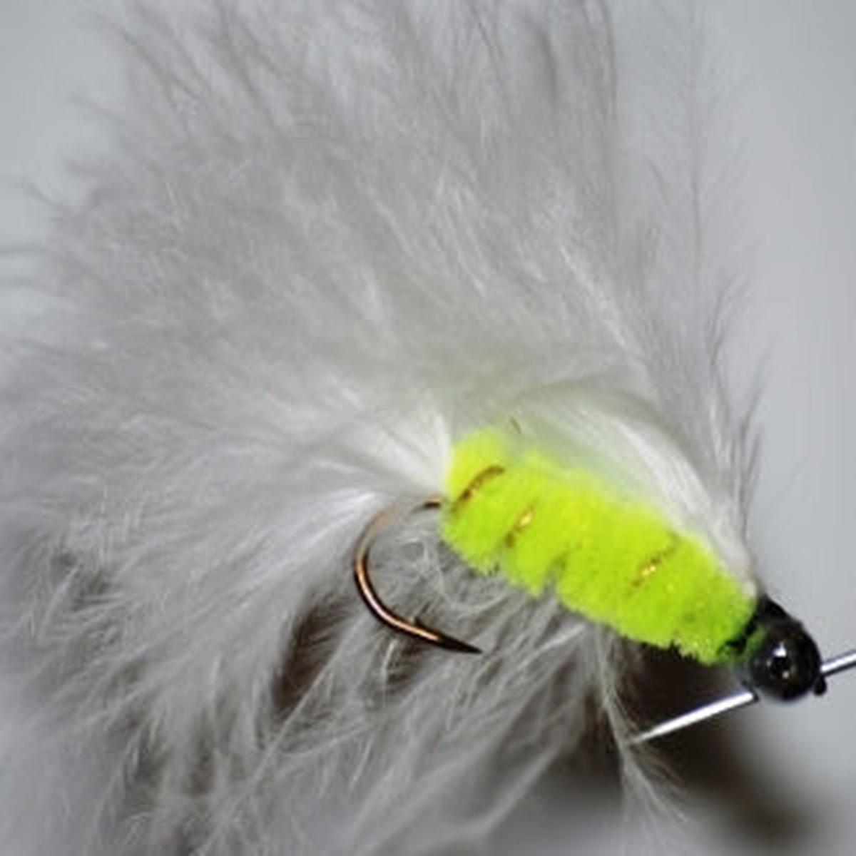 Cats Whisker Twin Eye