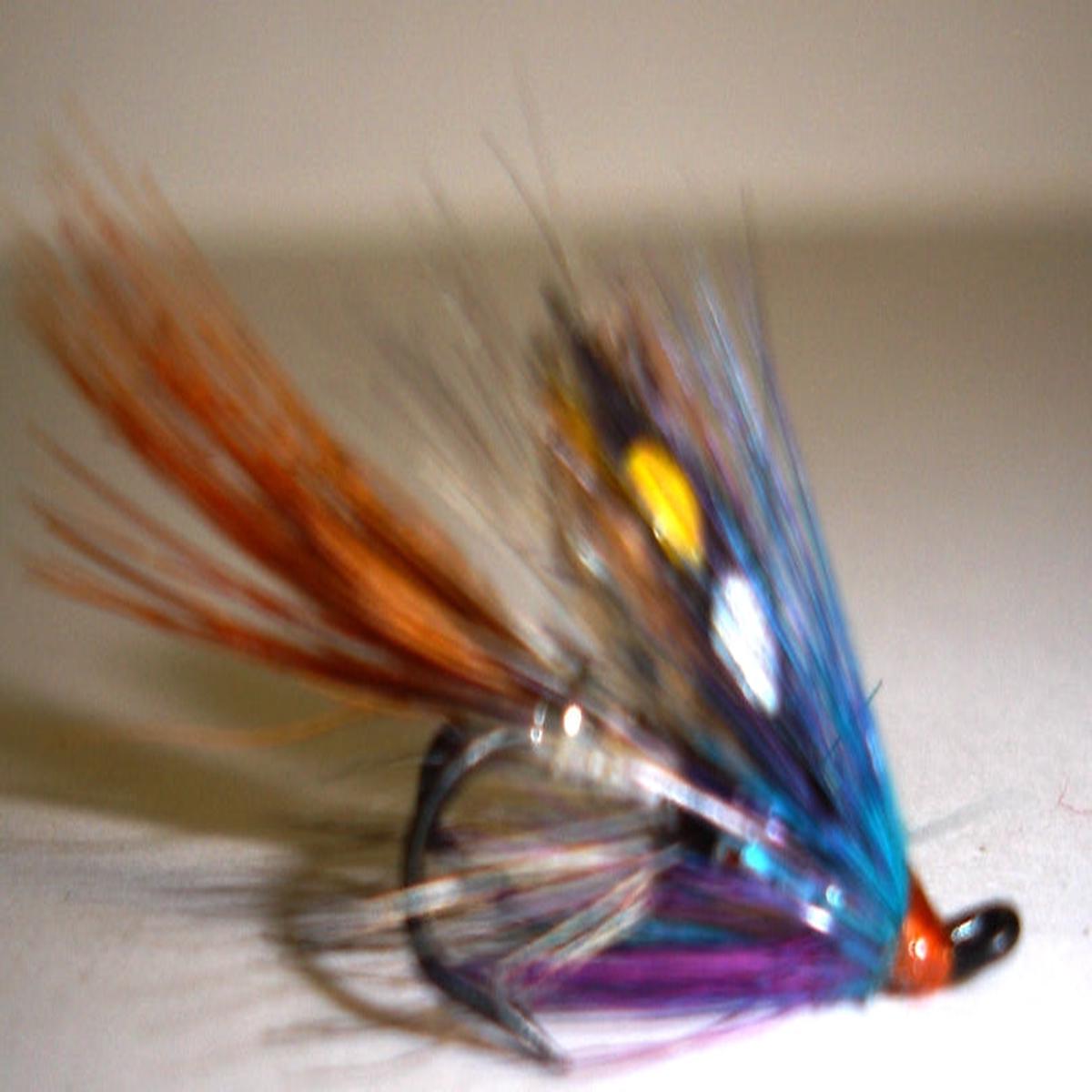 McKinnell Shrimp