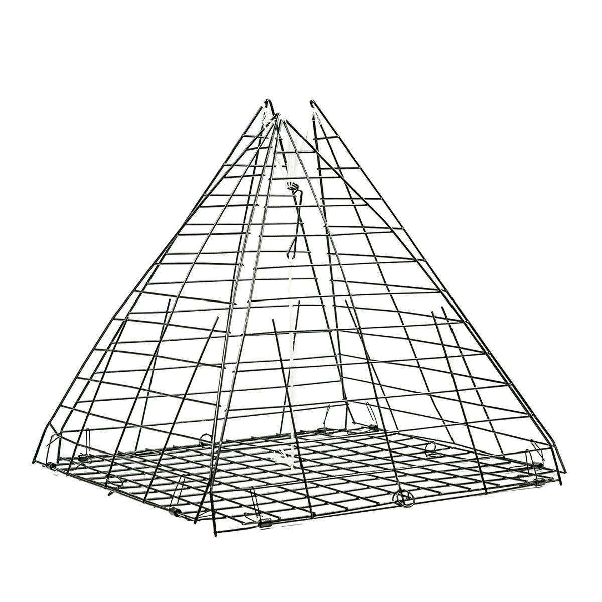 Star Crab Trap