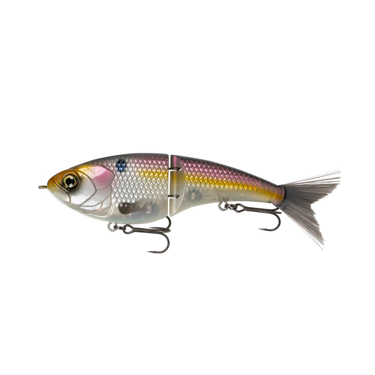 Judo Series - Shad Galore
