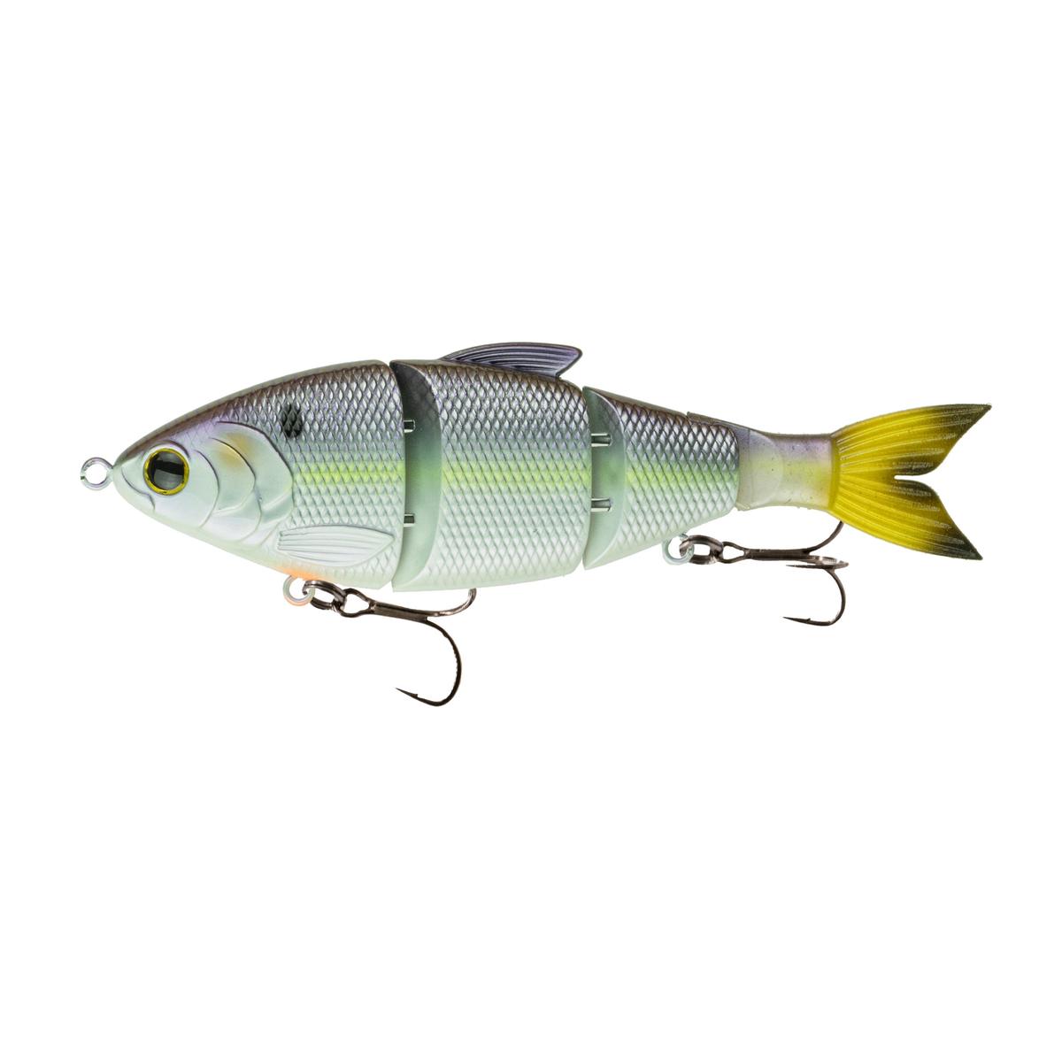 Trace 6" - Wild Shad