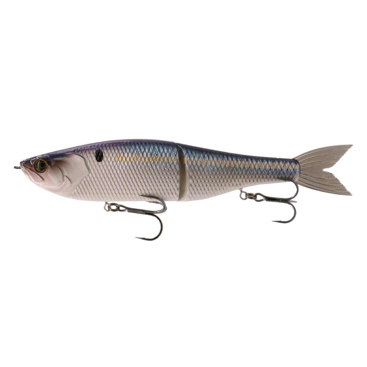 The Draw 6.5 - Live Threadfin Shad