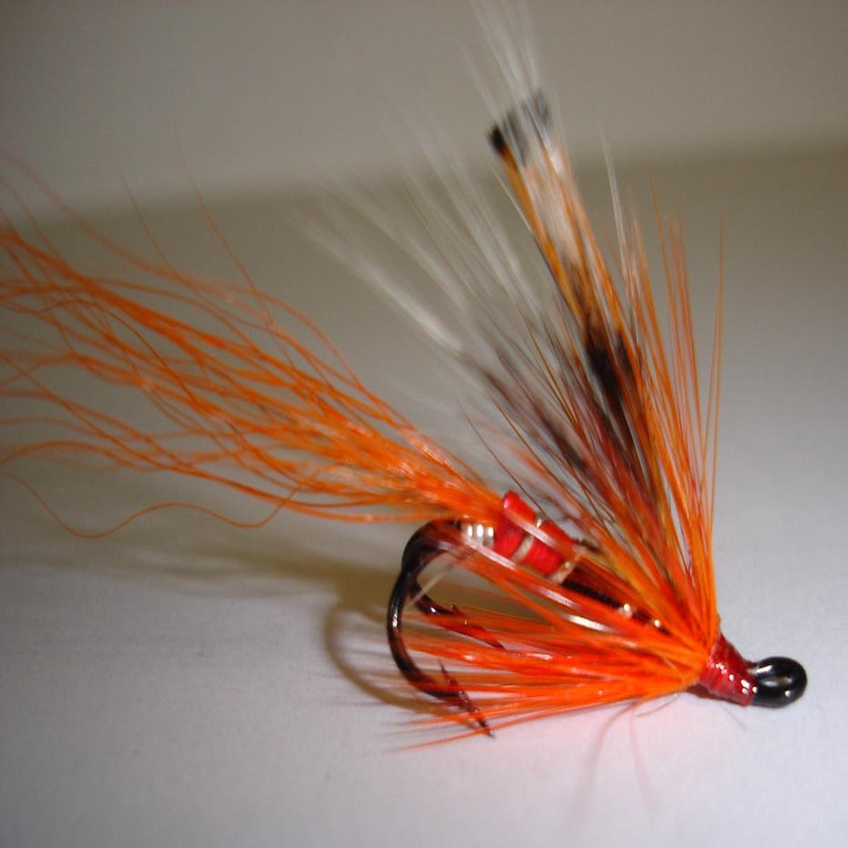 Allys Shrimp
