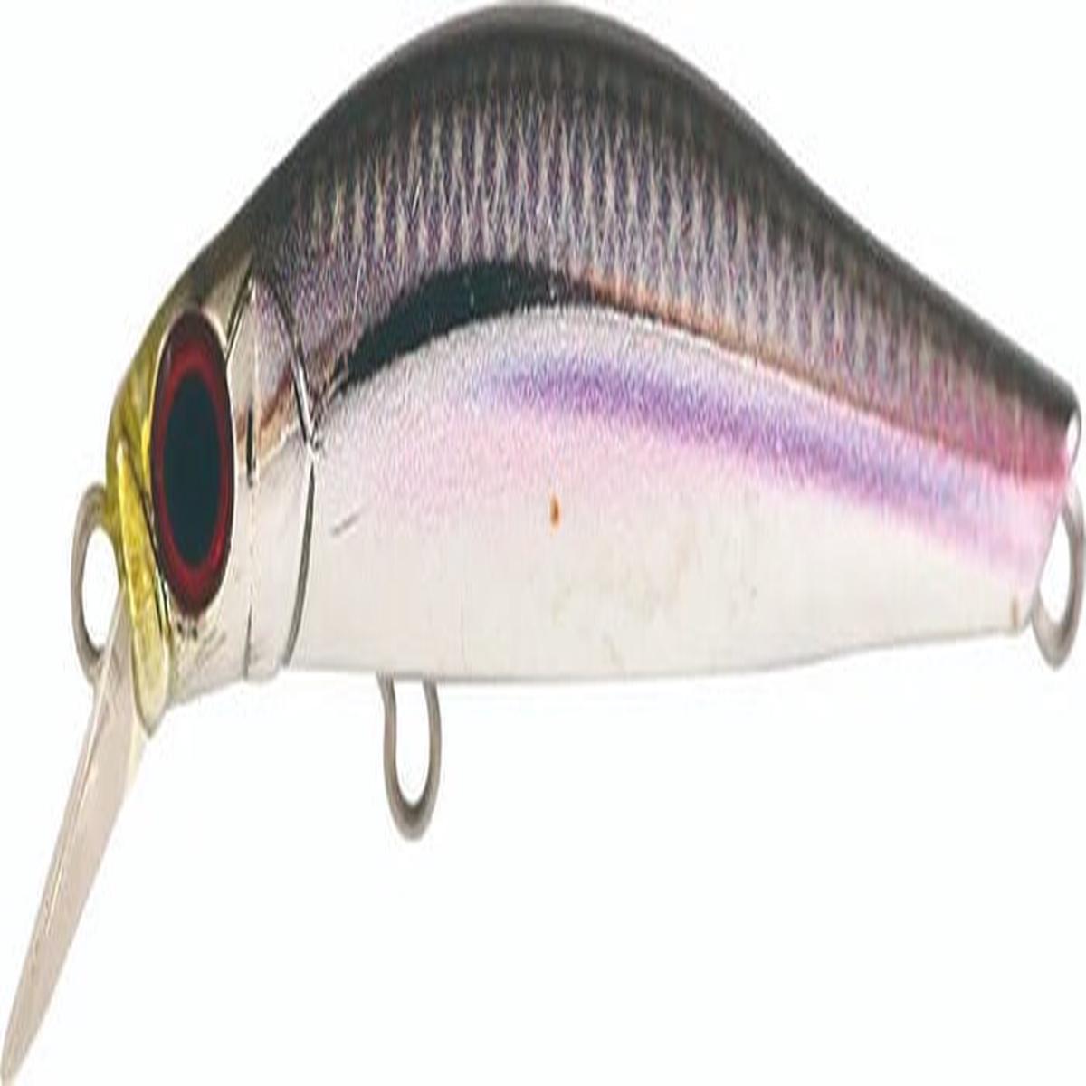 Jackson Artist FR55 Lures