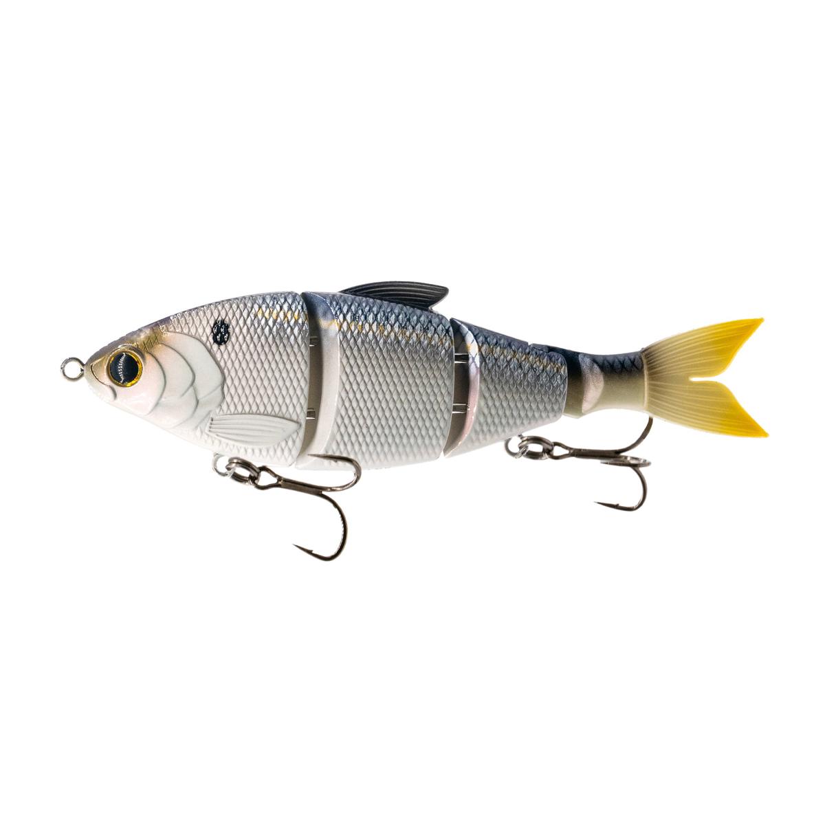 Trace 6" - Live Threadfin Shad