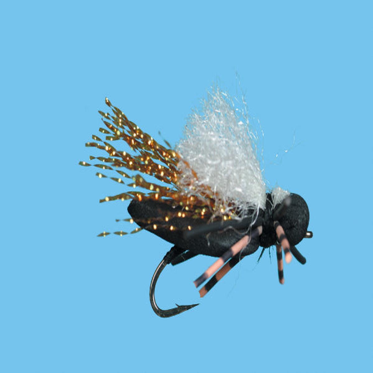 Elviras Cicada