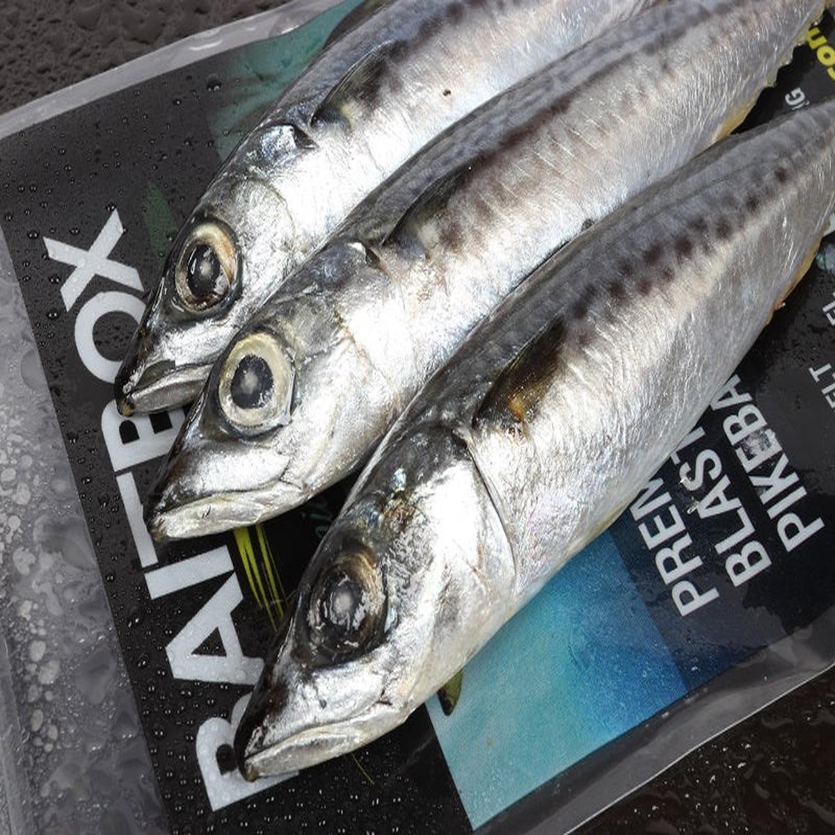 Whole Mackerel x 2/3 pk