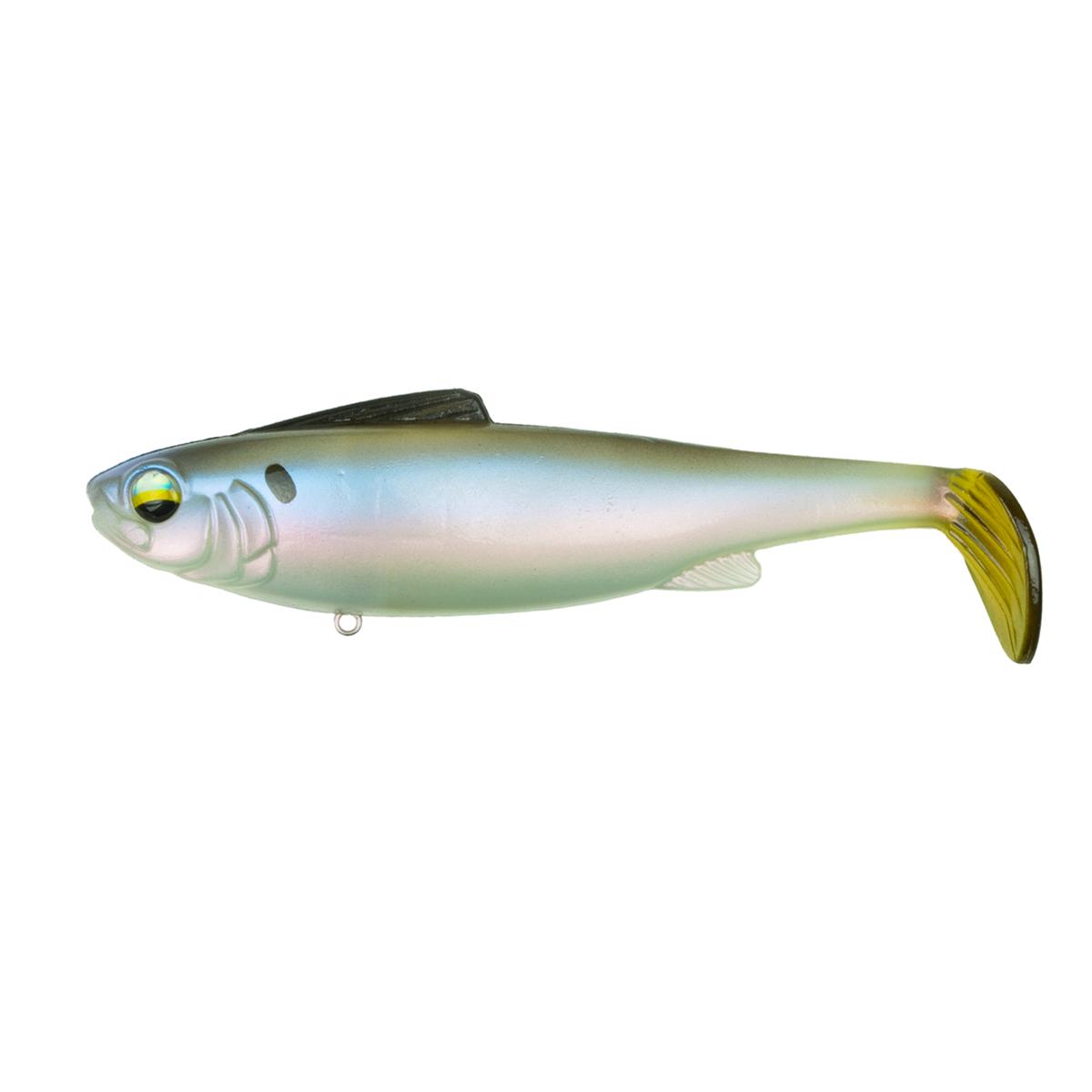 Hangover - Clearwater Shad