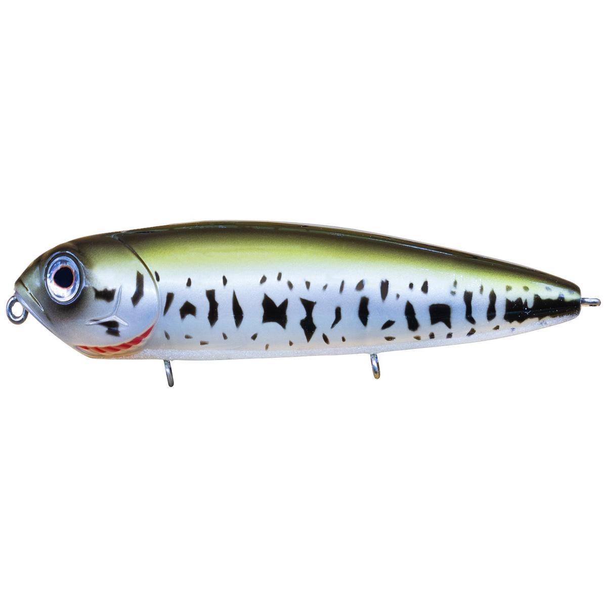 Teckel USA Kicknocker PUP