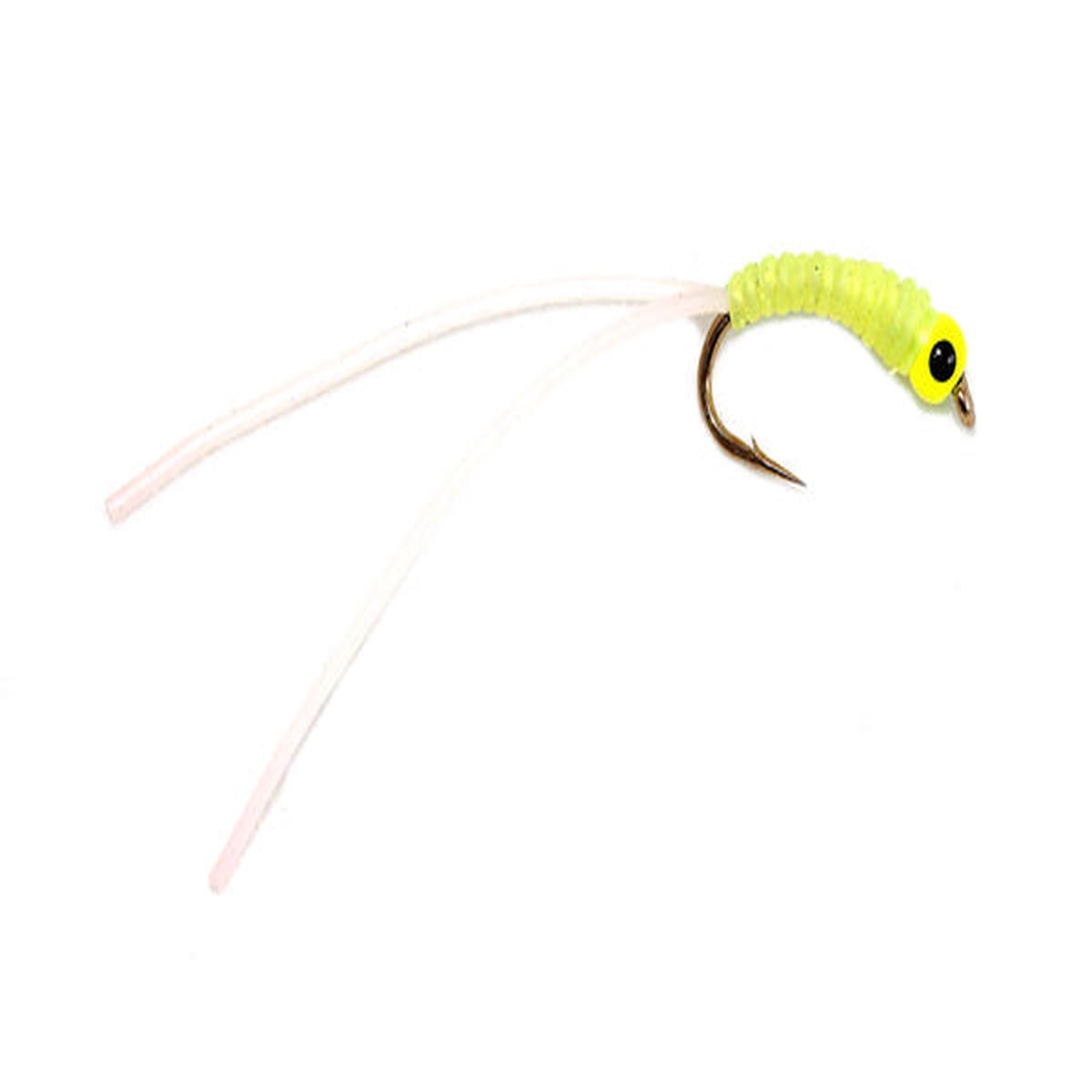Fario Cat Bug