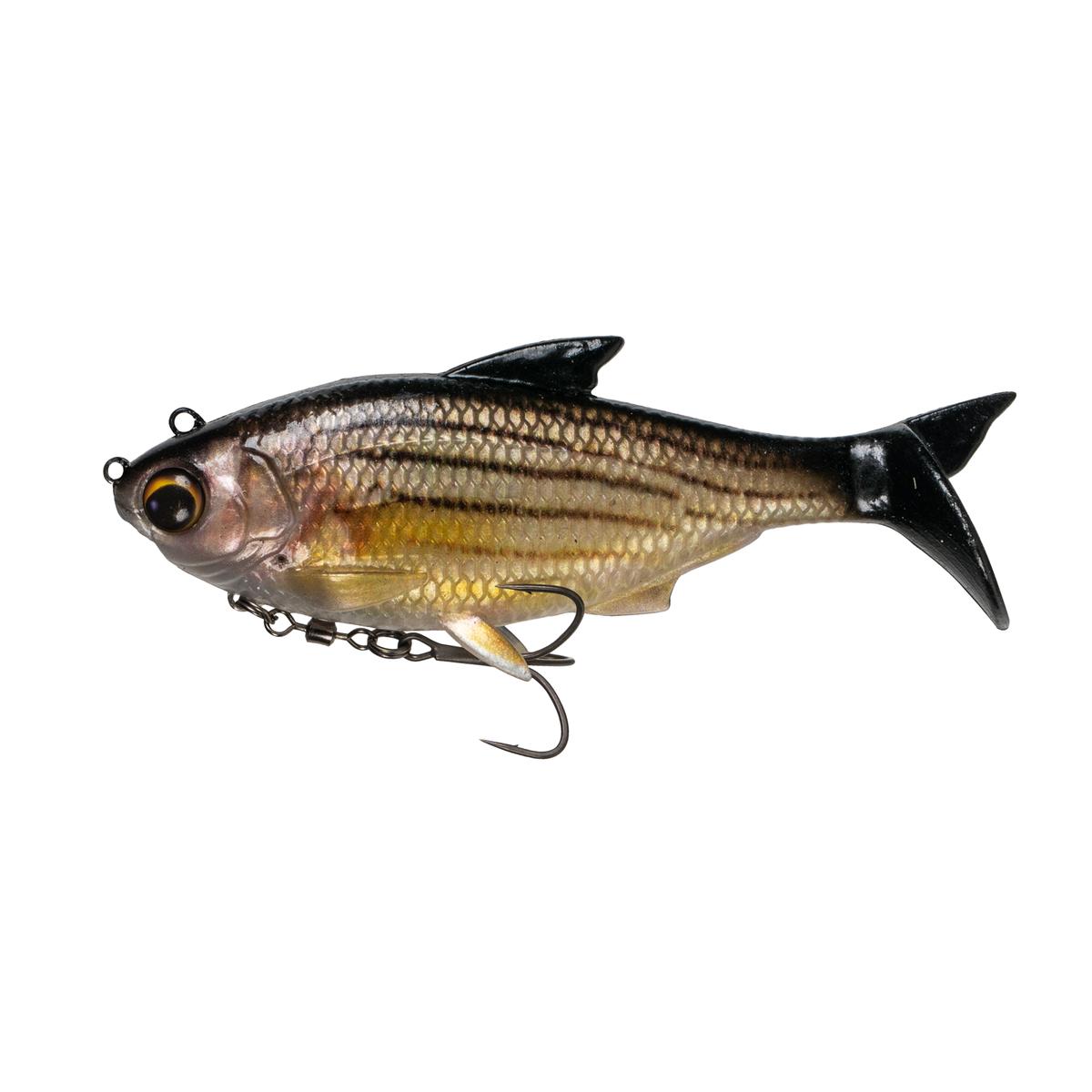 The Option - Live Barfish