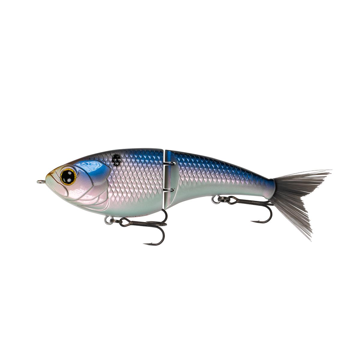 Judo Series - Blueback Herring