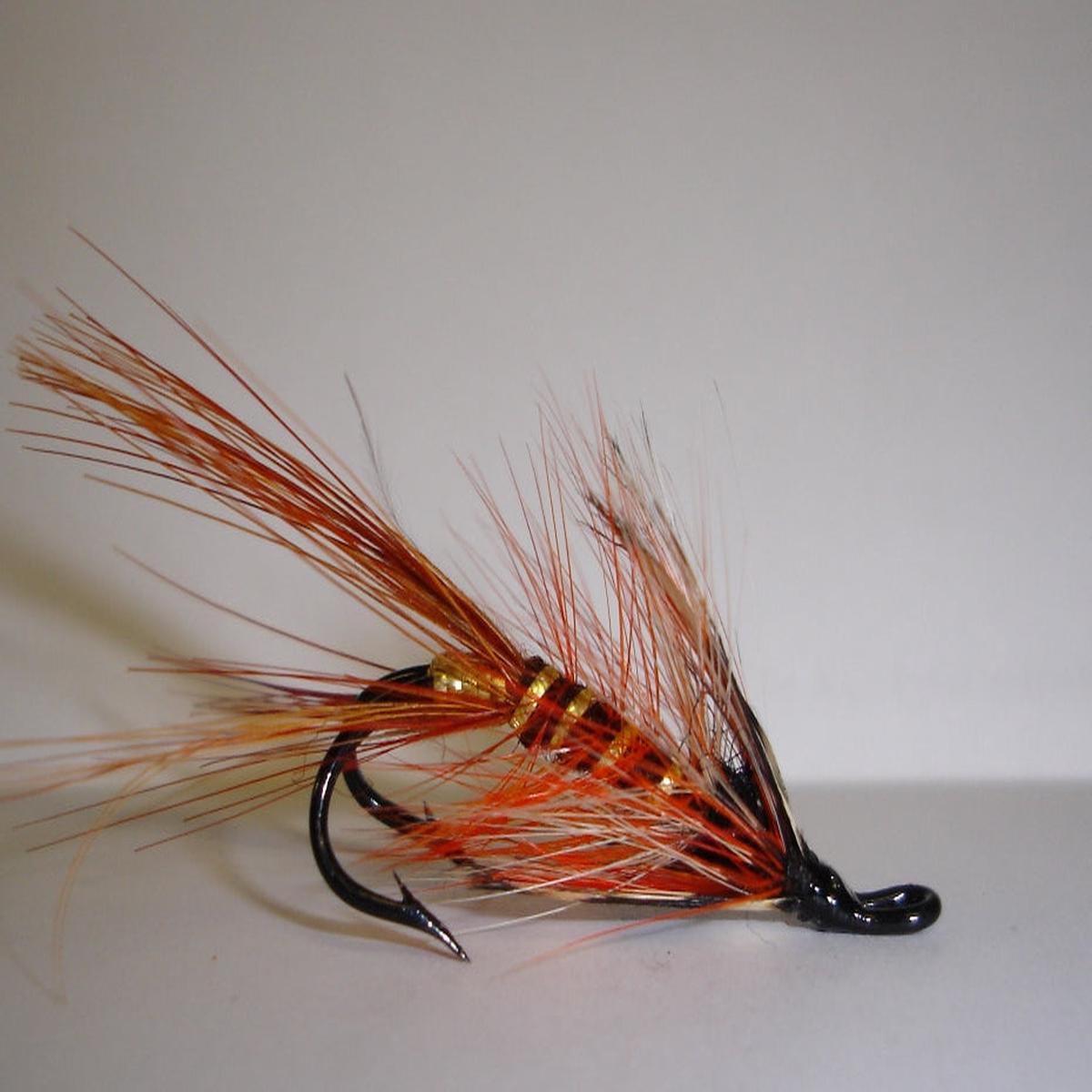 Avcor Shrimp