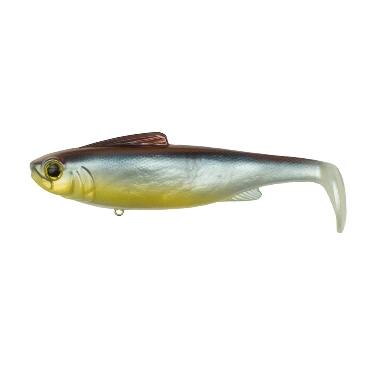 Hangover - Barfish