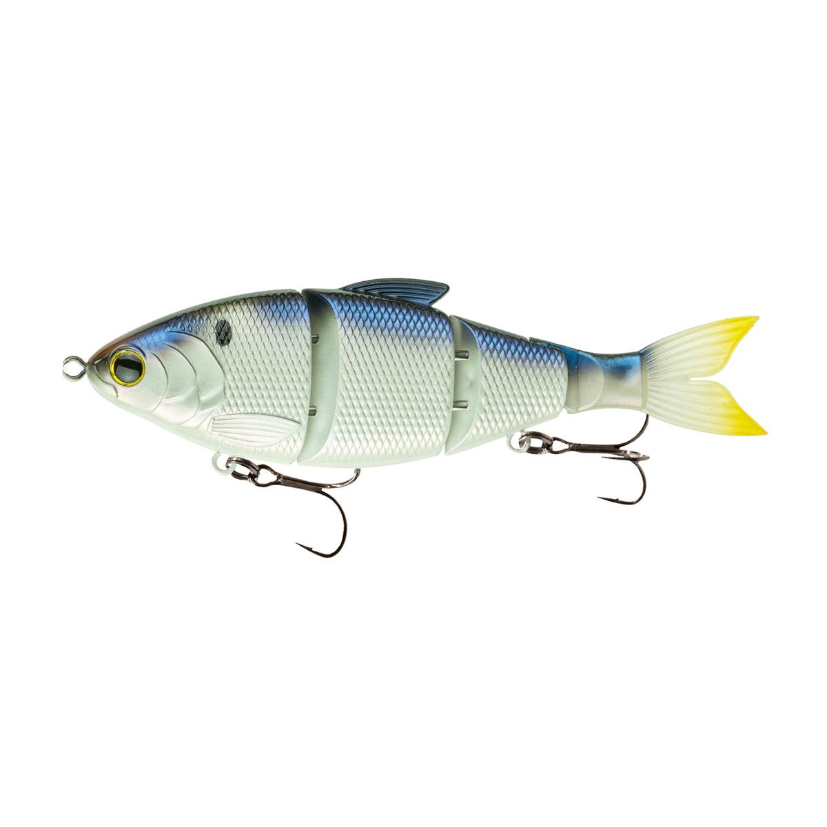 Trace 6" - Blueback Herring