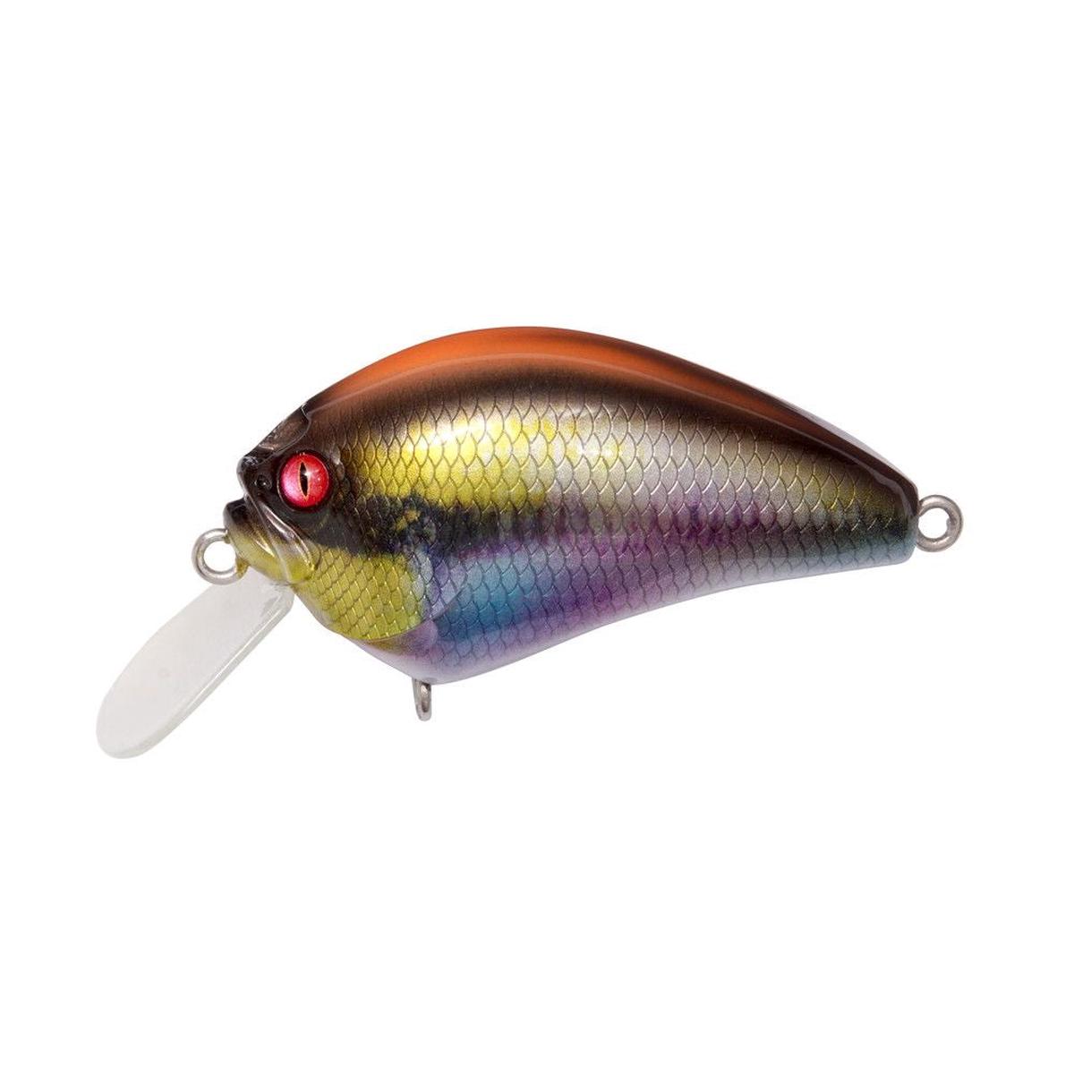 Megabass JDM  IXI Blowly ITO Cichlid