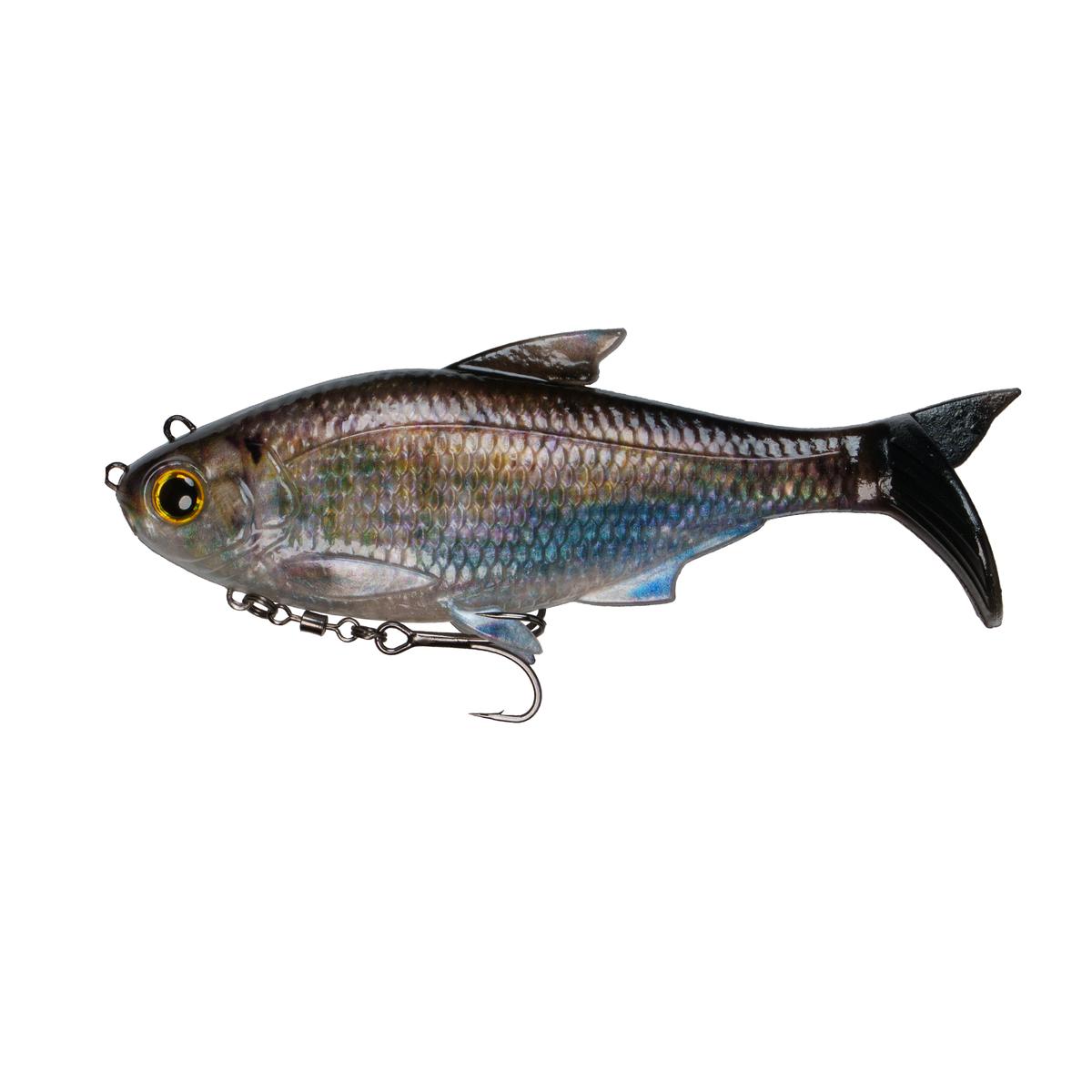The Option - Live Shad